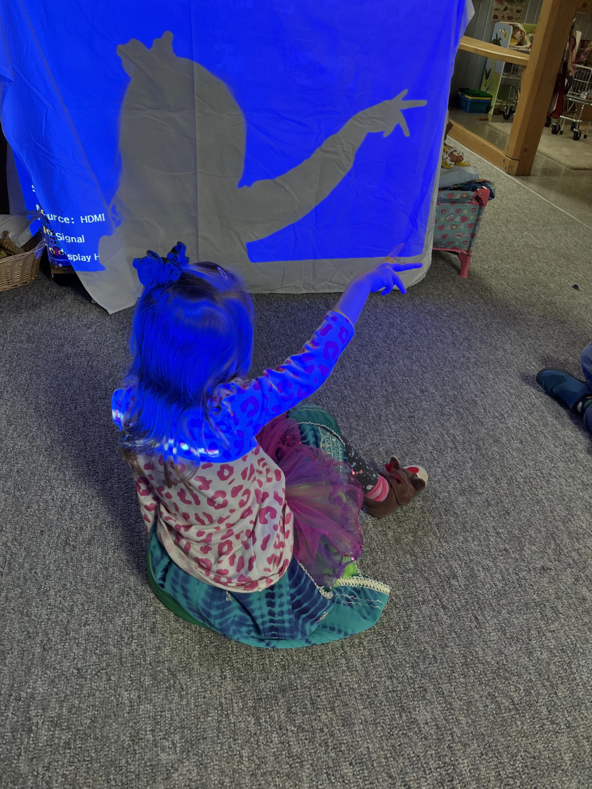 IMG_0903.jpeg