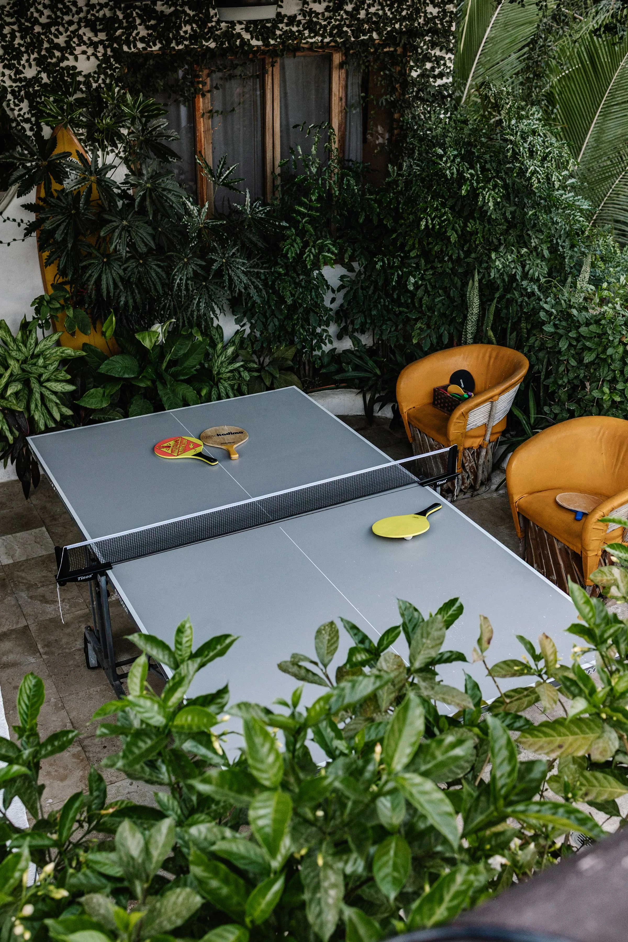 Indoor area with a ping pong table, two yellow chairs, and lush green plants surrounding the space.