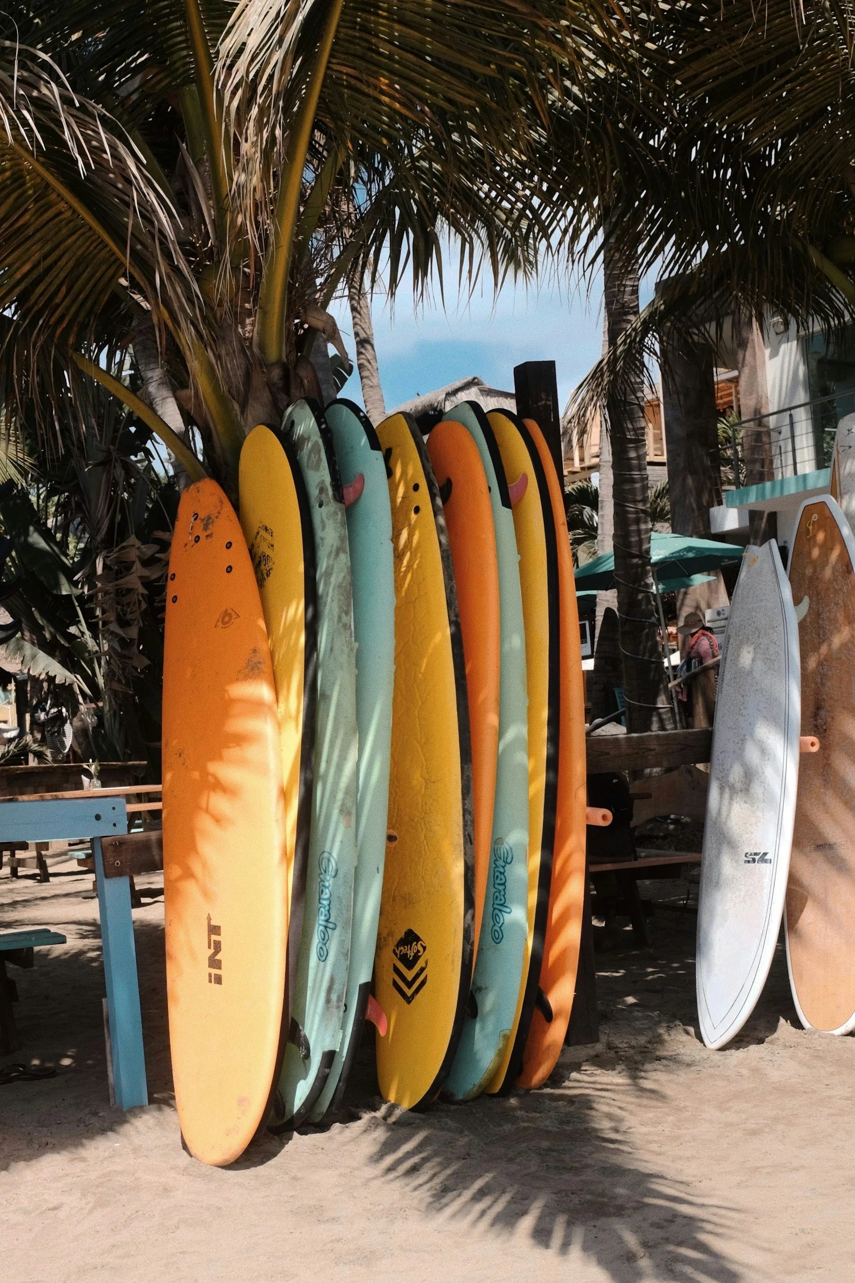 Colorful surfboards are standing upright on a rack on a sandy beach, with palm trees in the background and a building with a balcony.