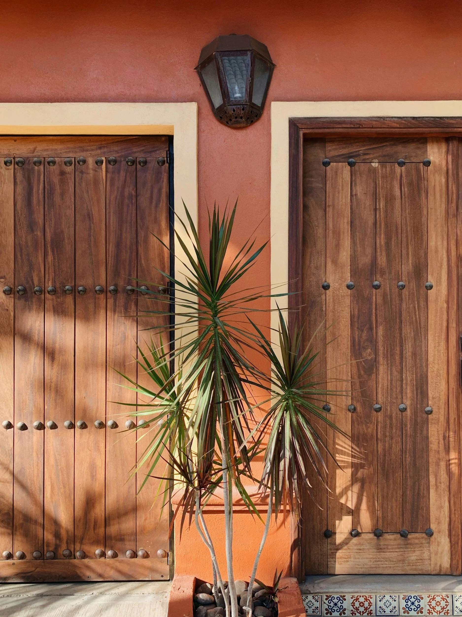 A pair of wooden doors with black studs, separated by an orange stucco wall with white trim, and a black outdoor lantern above a potted plant with long, spiked green leaves.