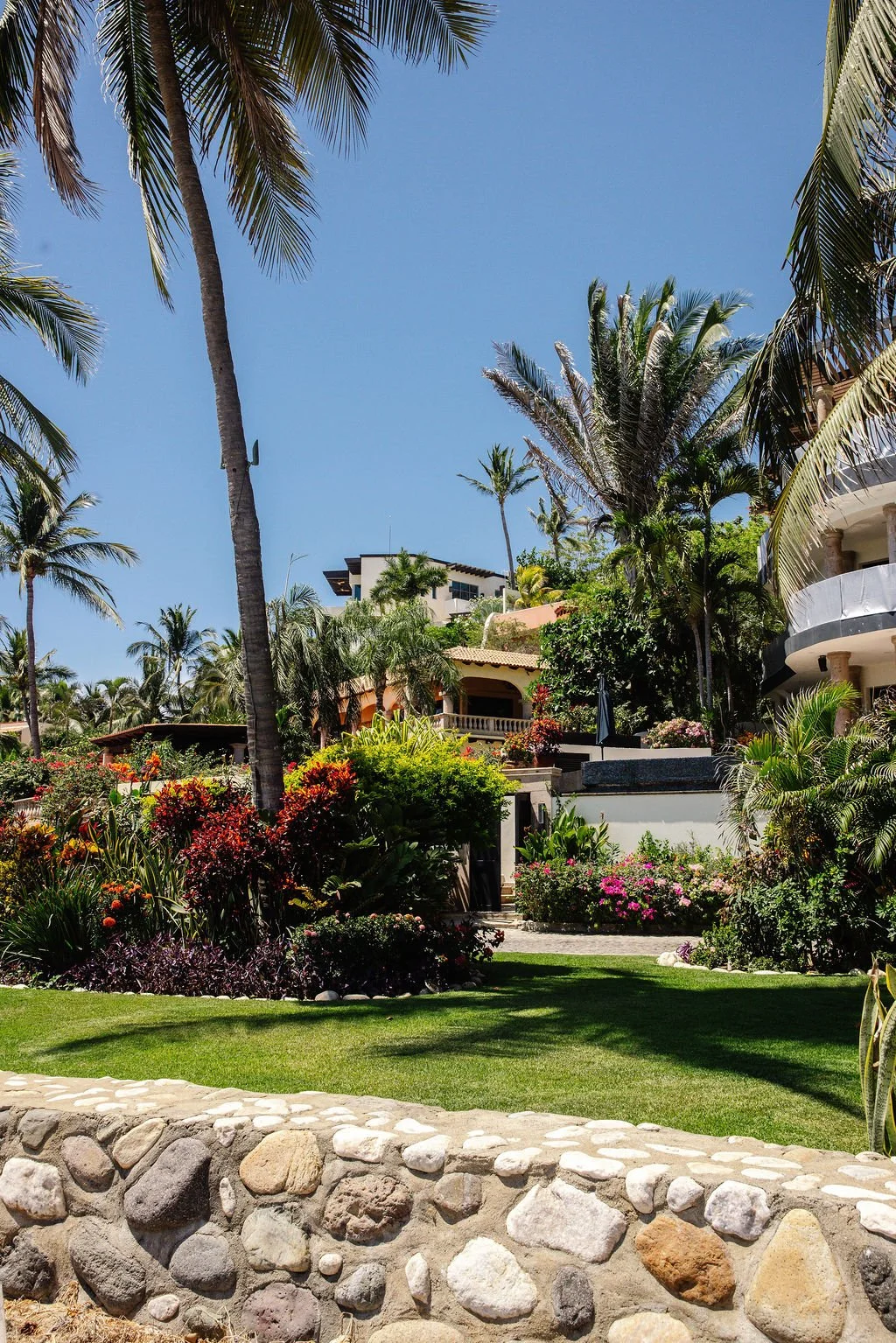 A lush tropical garden with tall palm trees, colorful flowering shrubs, and a stone border, in front of a modern building under a clear blue sky.