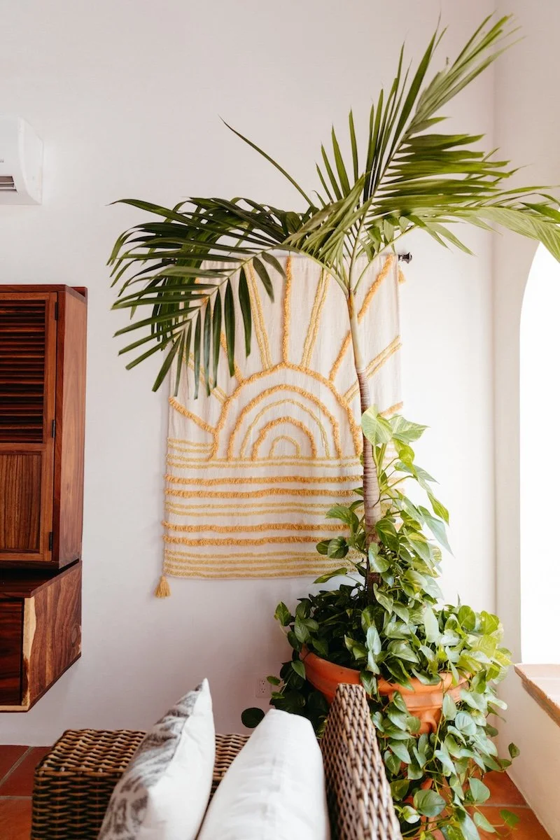 Interior scene with a large potted palm tree and a wall hanging featuring a yellow sun and rainbow design, next to a wicker bench with white cushions, and wooden shelves against a white wall.