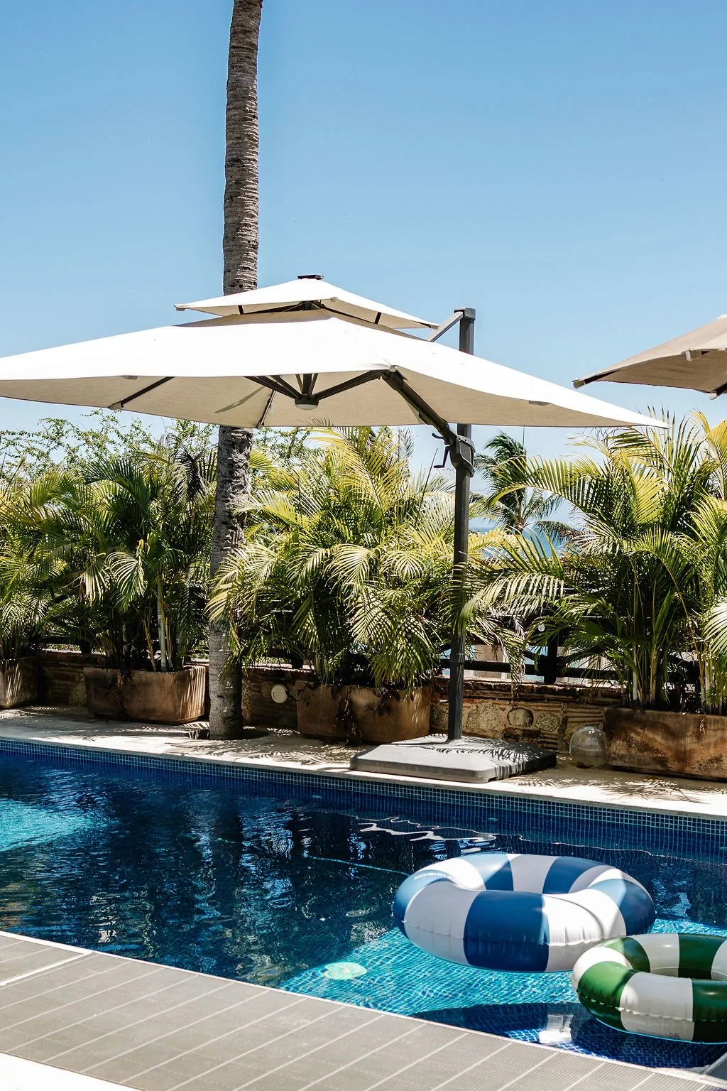 Swimming pool with two colorful pool floats and surrounded by lush green plants under umbrellas on a sunny day.