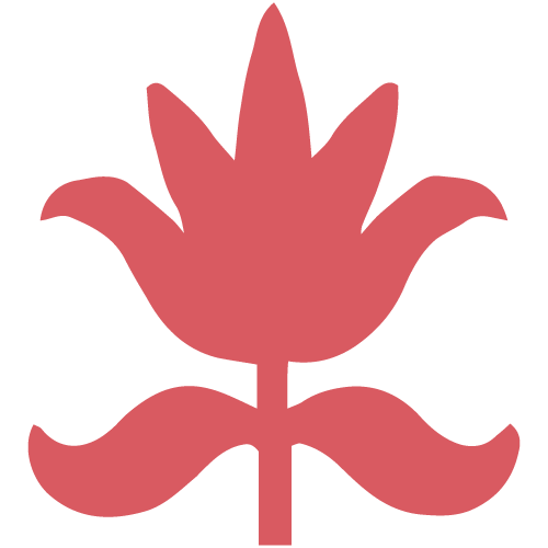 A stylized pink flower with five petals and a central stem.