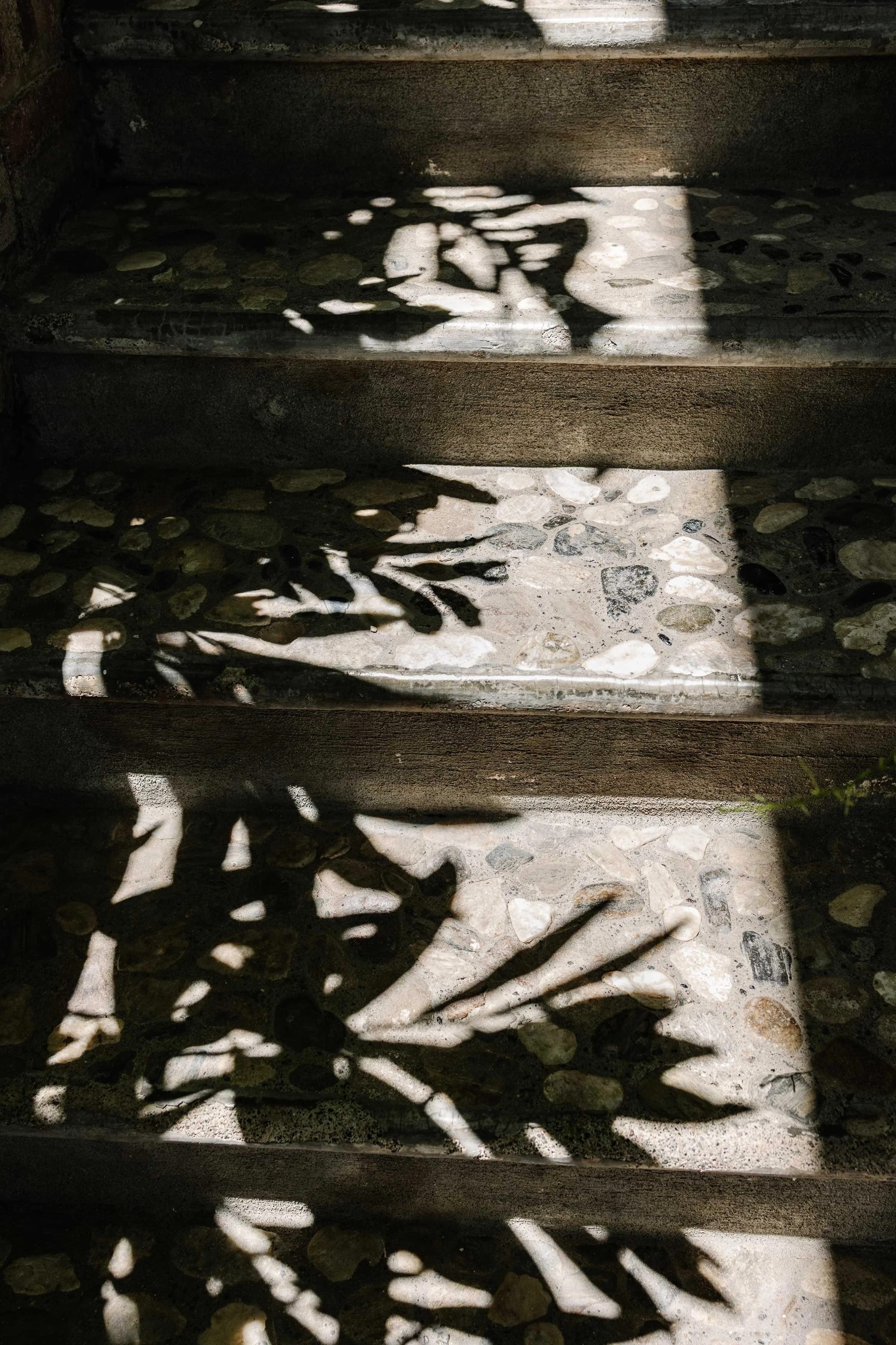 Shadow of a hand holding a flower cast on a stone staircase with sunlight creating patterns.