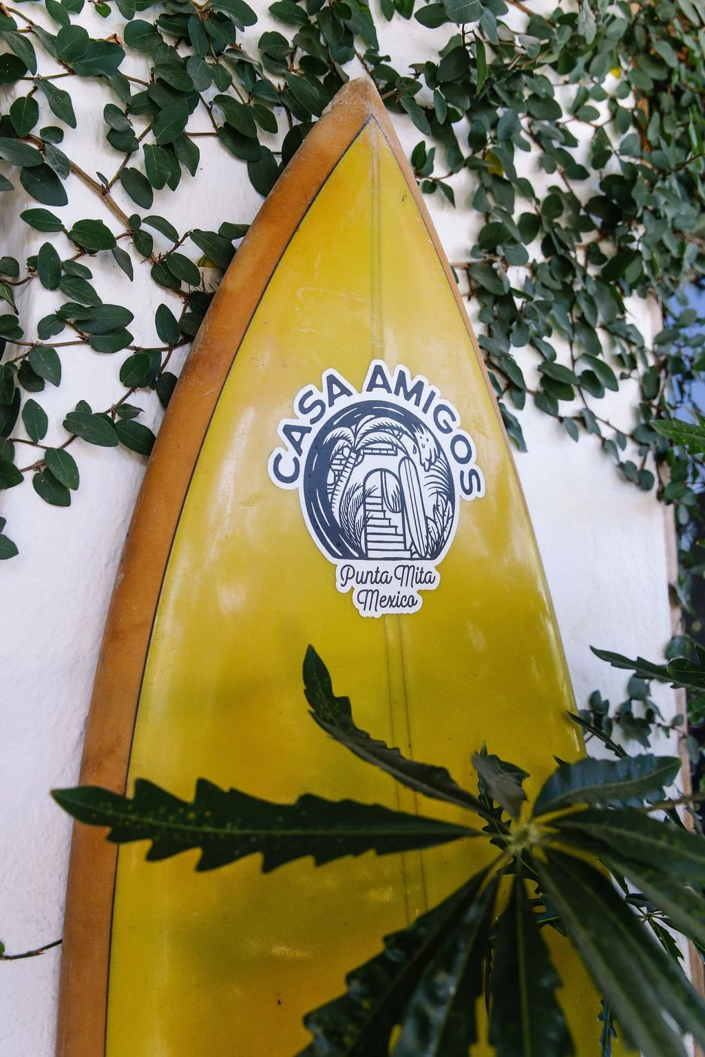 Yellow surfboard with a logo that reads "Casa Amigos" and "Punta Mita Mexico" beneath it, leaning against a wall covered in green leaves.