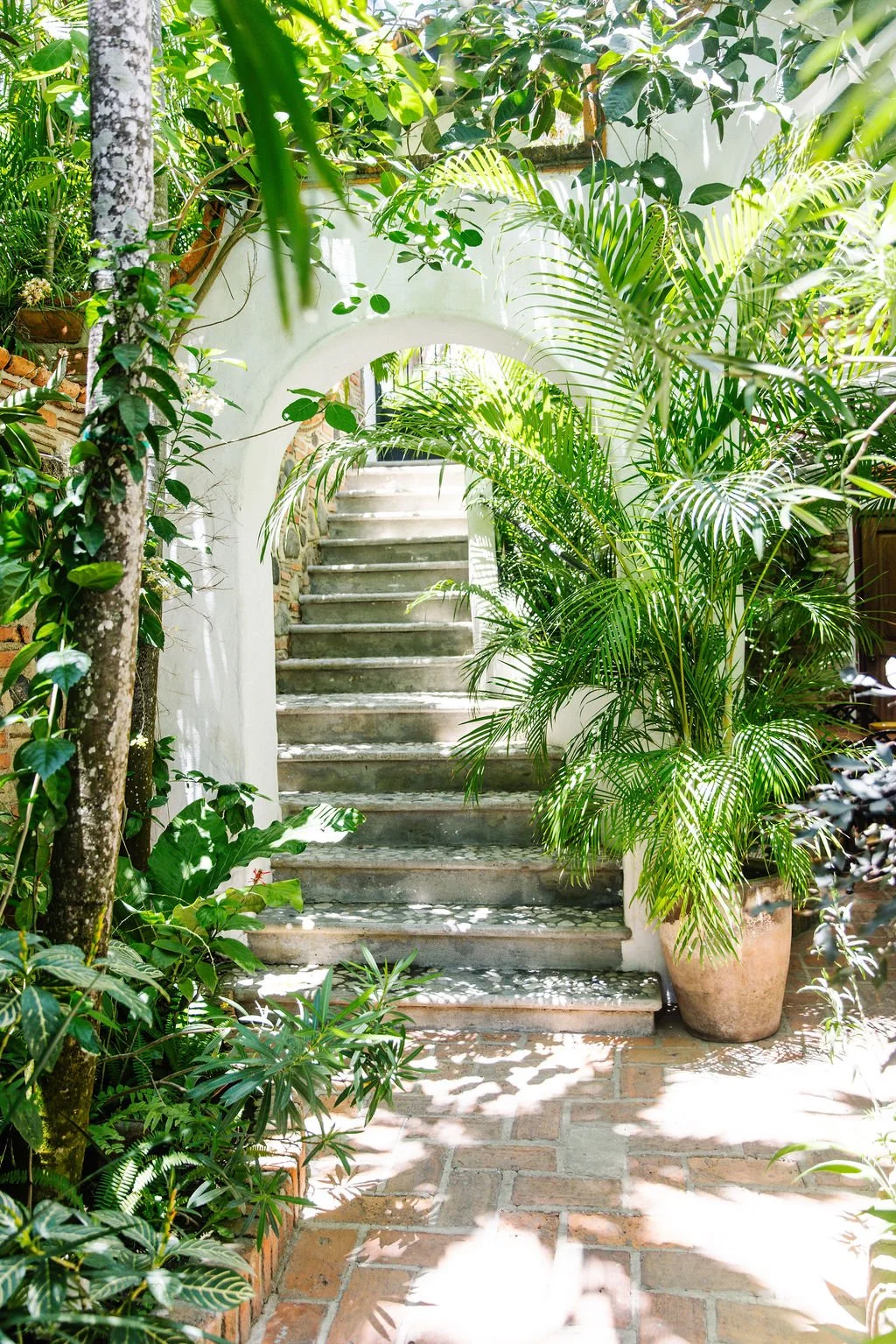 A stone staircase through a lush green garden with potted plants and an archway, sunlight dappling the pathway.