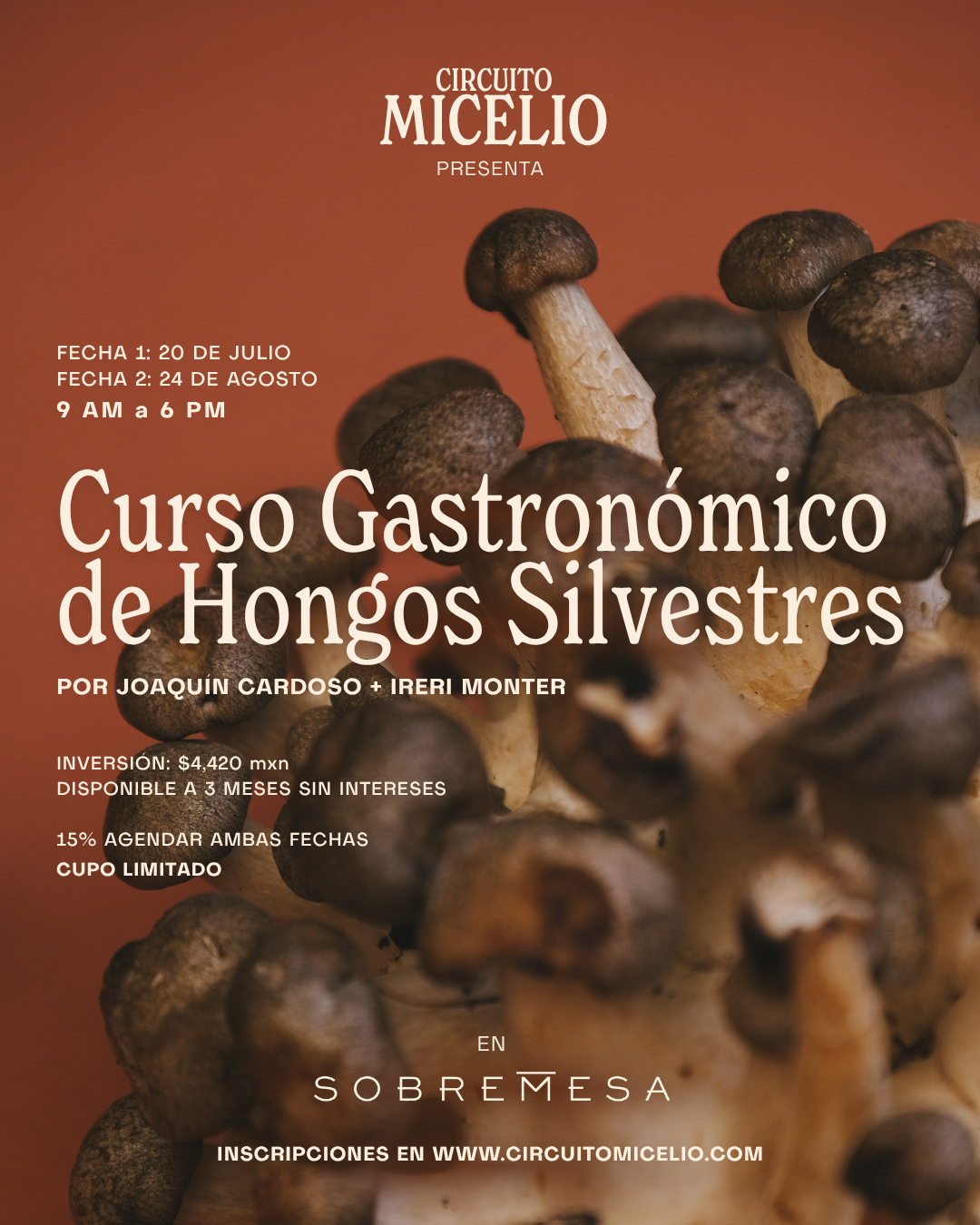 Curso Gastronómico de Hongos Silvestres