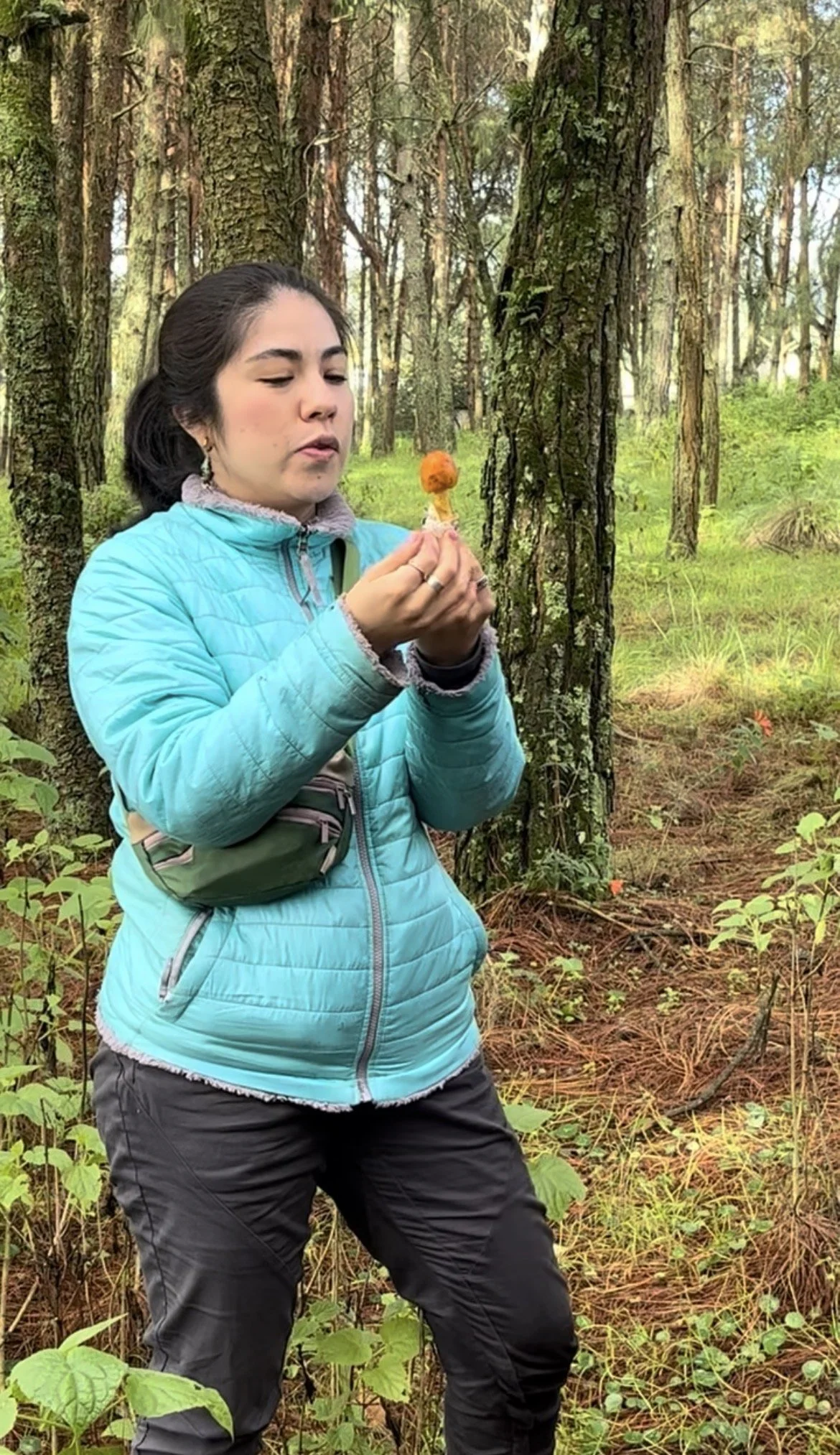 Mujer micóloga con chaqueta azul y pantalón negro en un bosque, sosteniendo un hongo silvestre en su mano. Yemita, amanita.