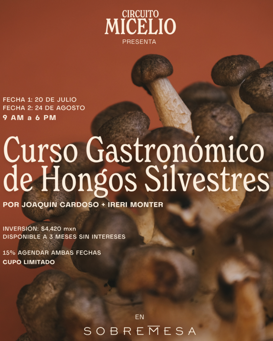 Curso+.png