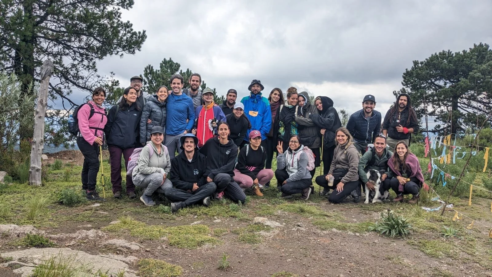 Grupo de personas en una caminata en la naturaleza, con árboles y cielo nublado. Experiencia de recolección e identificación de hongos silvestres para grupos. Experiencias privadas y corporativas.