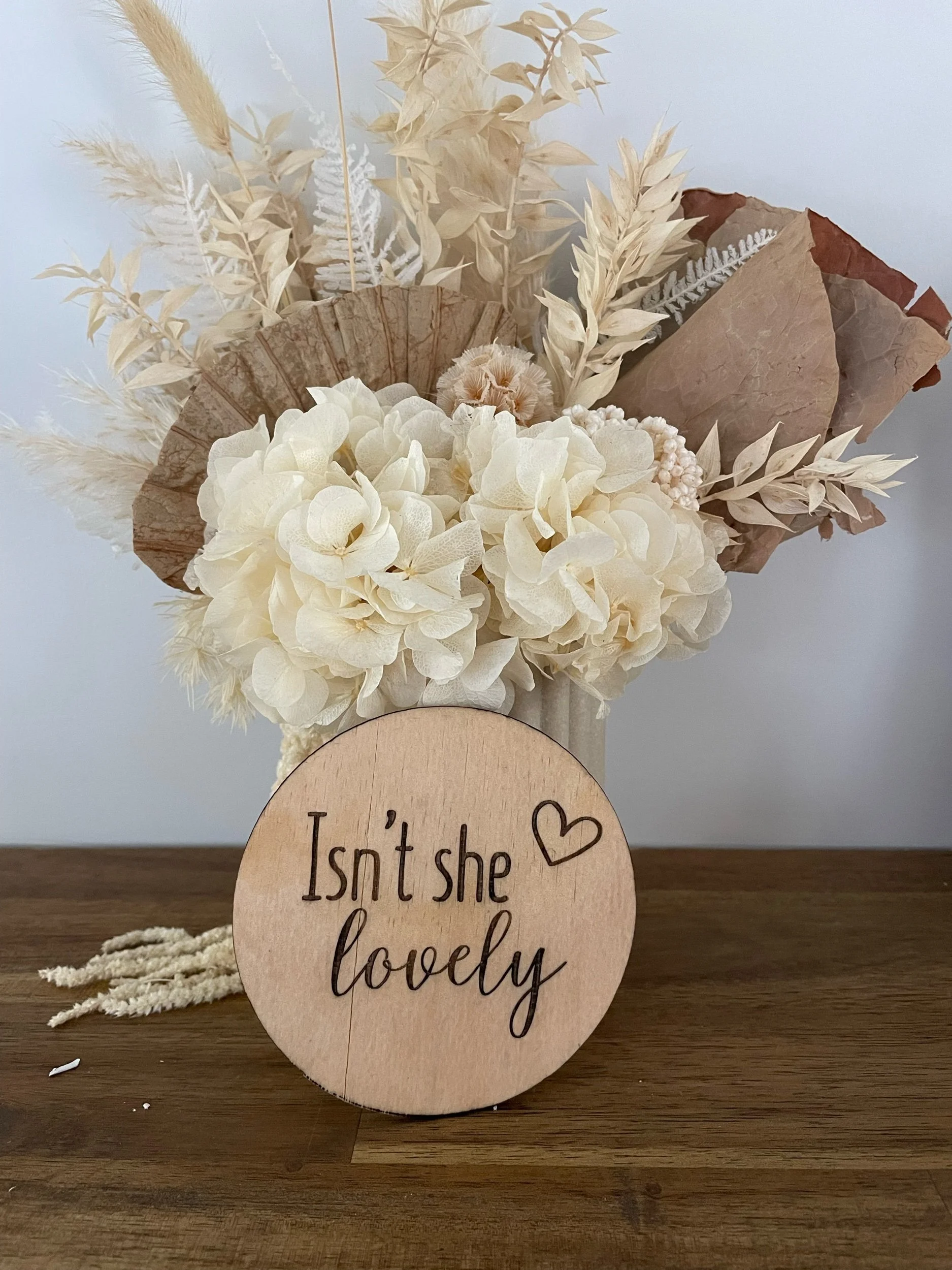 Gender Announcement - Disc