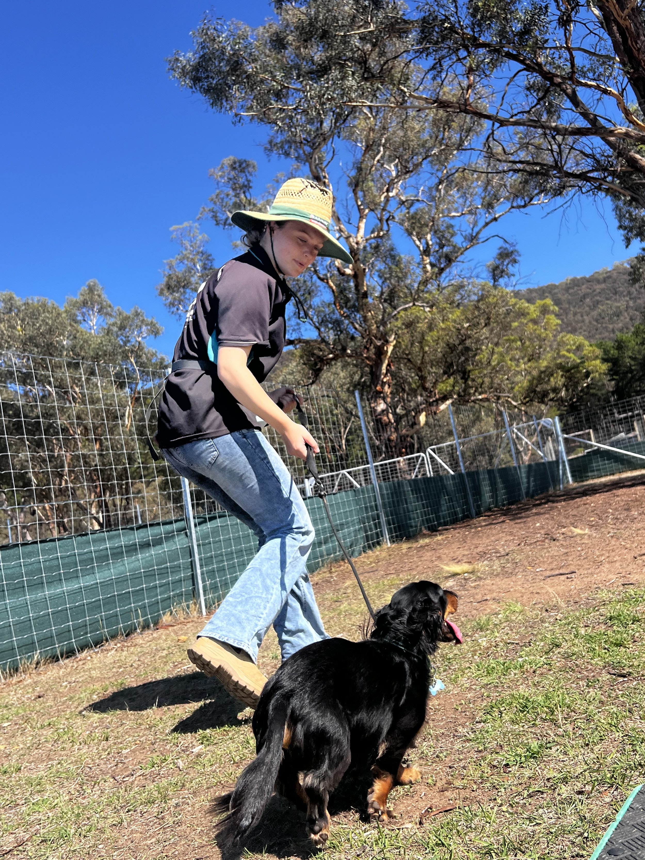 A person wearing a wide-brimmed hat and a black shirt walks a large black and tan dog on a leash in a fenced outdoor area with trees and a mountain in the background on a sunny day.