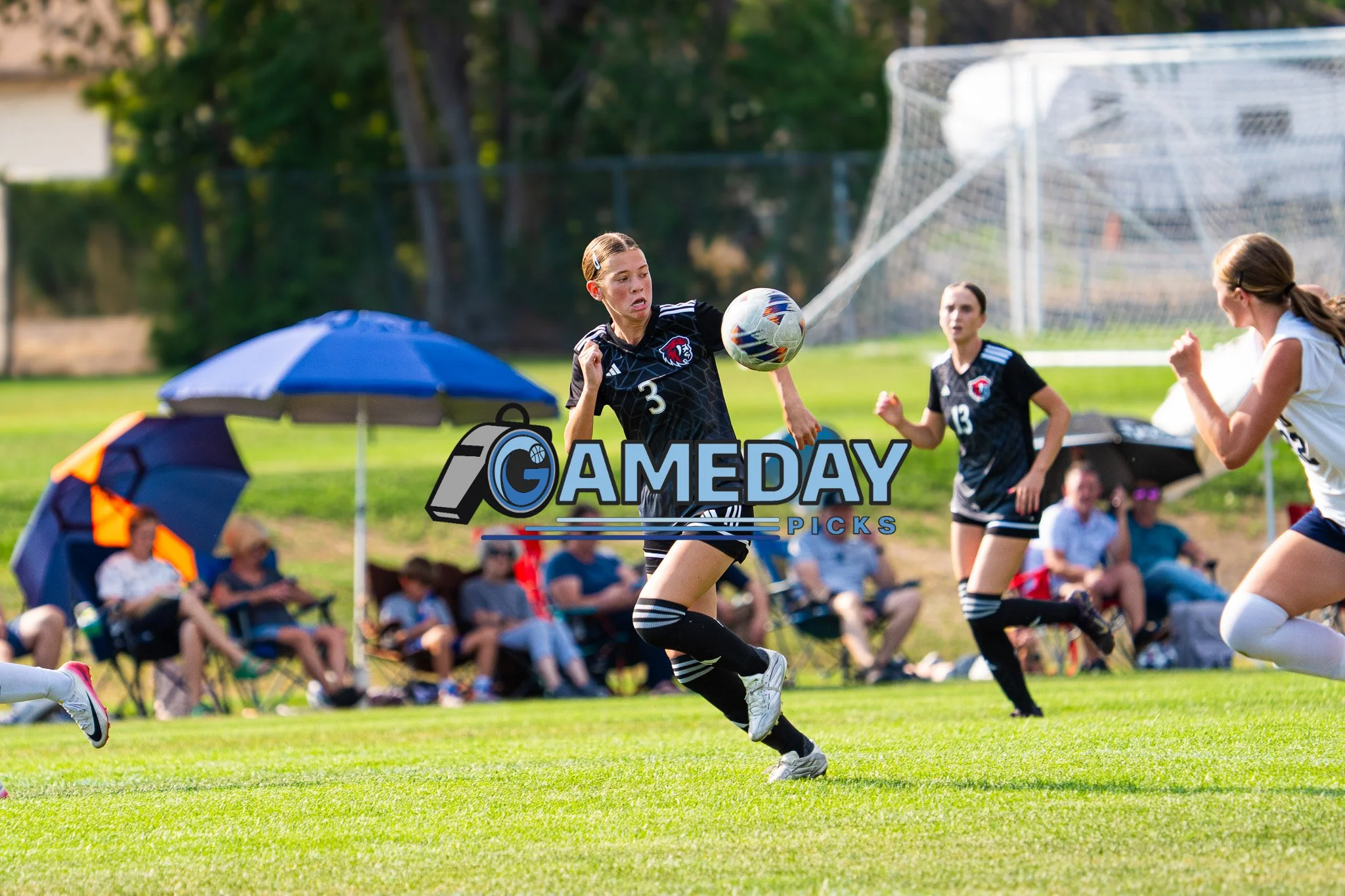 DSC02095-2.jpg