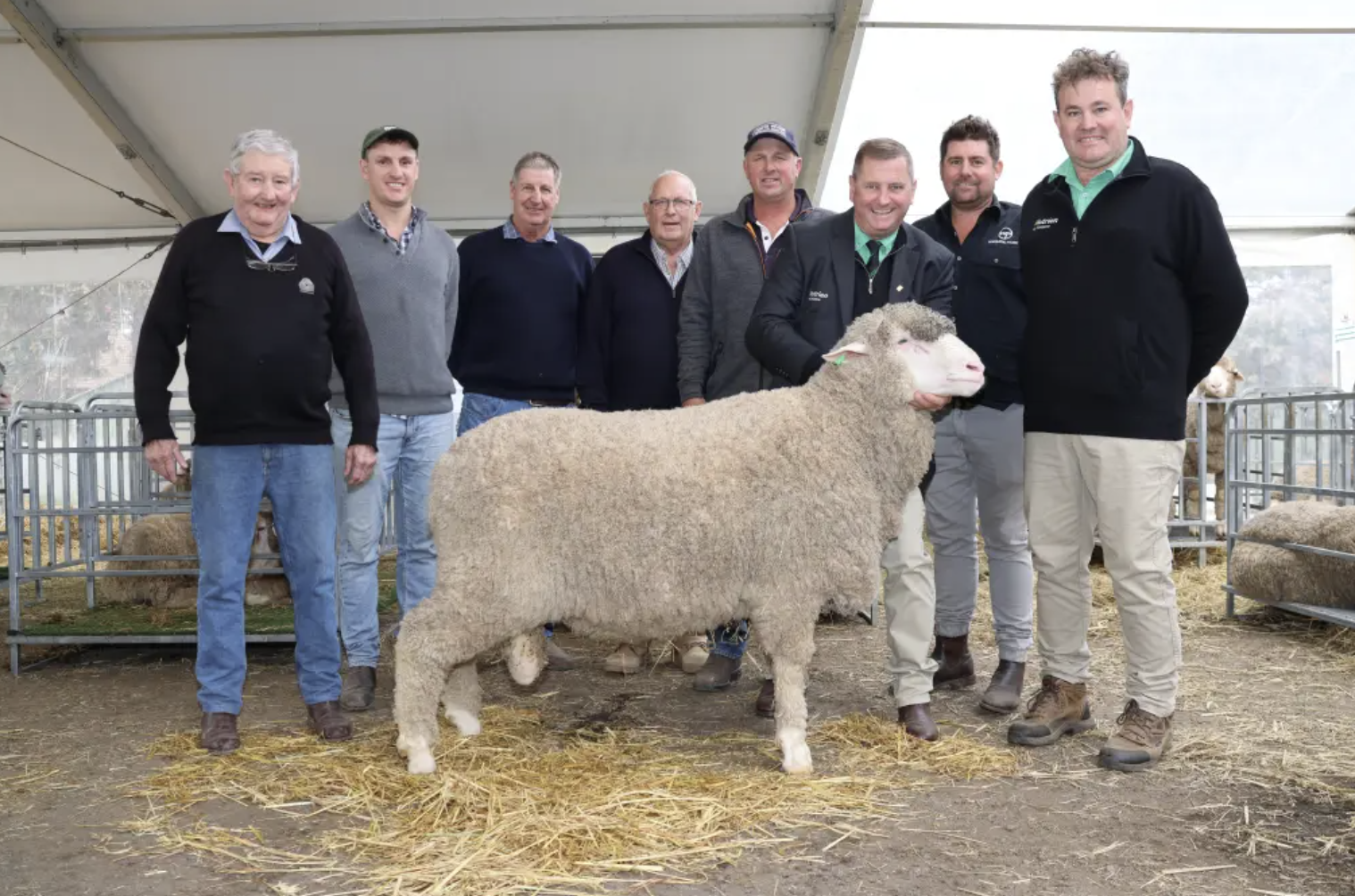 Winning Wiringa Park Sheep. A group of nine men standing in a barn with a sheep in the foreground. The men are smiling and dressed in casual and semi-formal clothing. The barn has a metal roof and some sheep in pens in the background.