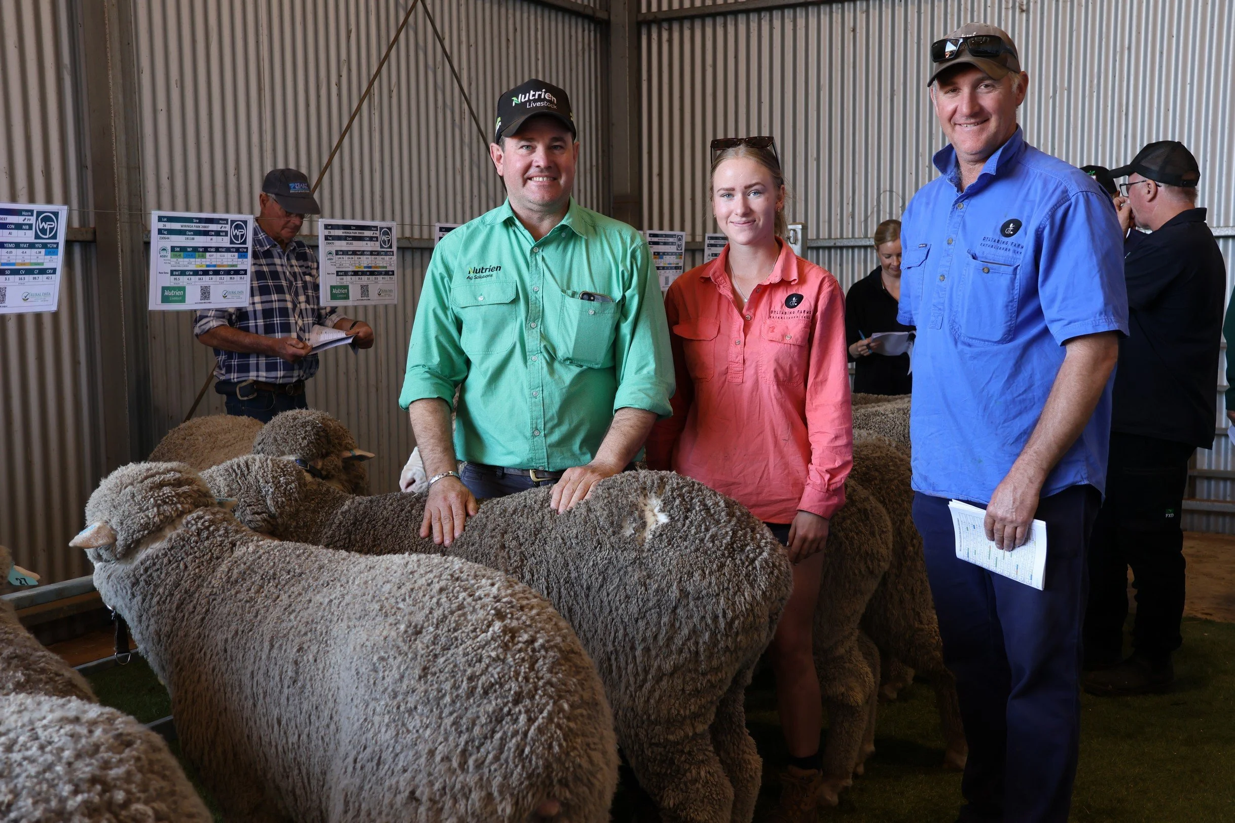 Wiringa Park Sheep on display. Group of four people standing in an indoor sheep farming exhibition, surrounded by several sheep with thick wool coats. The individuals are smiling and looking at the camera.