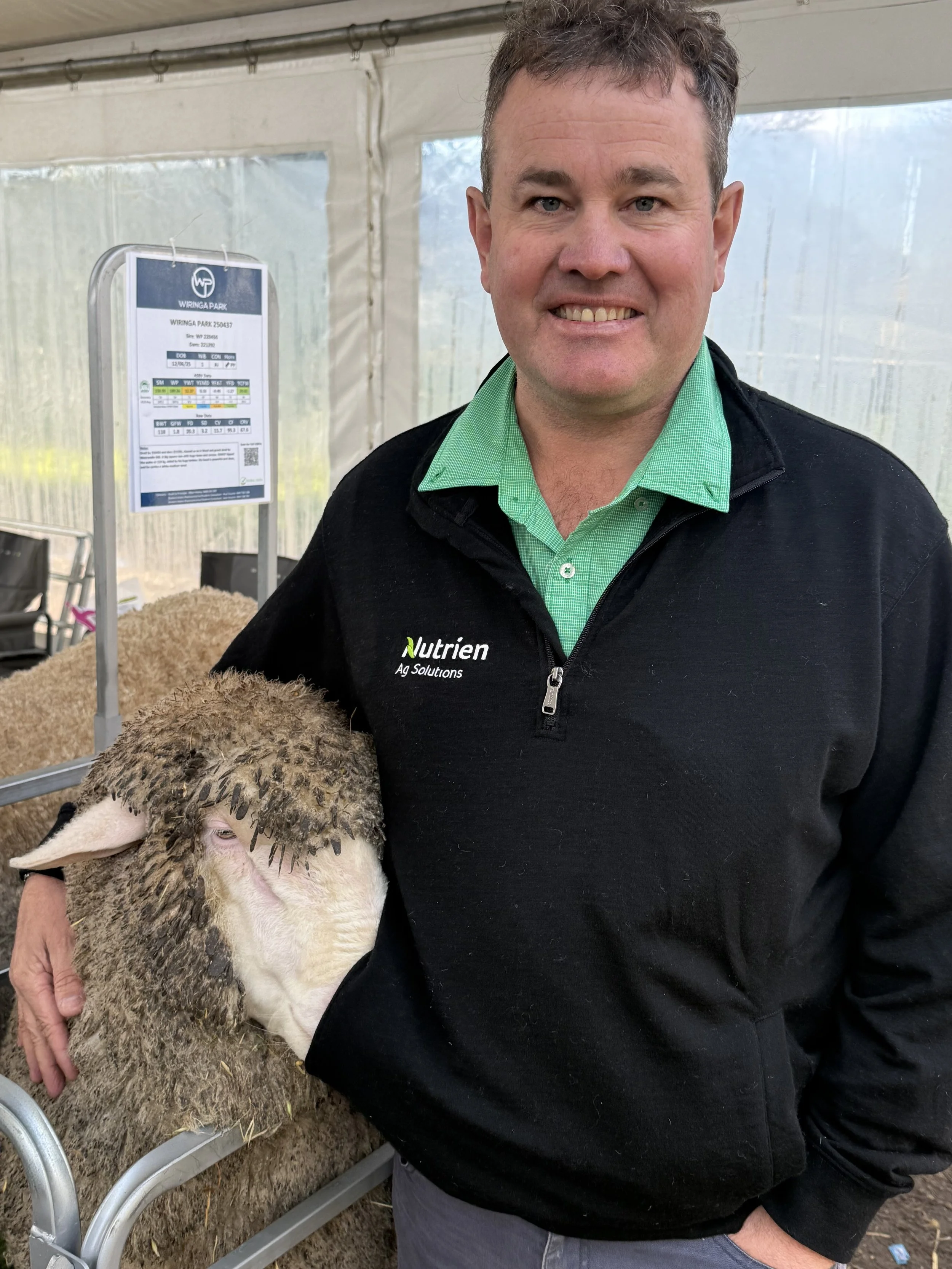 Wiringa Team Photo. A man smiling while standing next to a sheep in a tented area with information signs in the background.