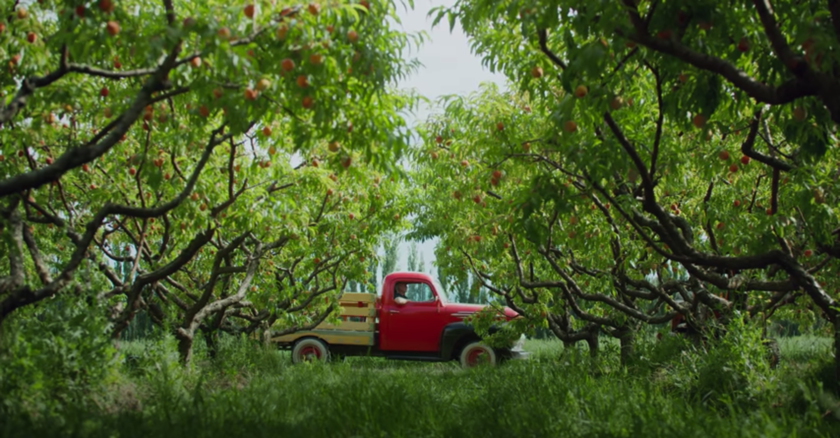 Covert Farms Family Estate | Destination BC
