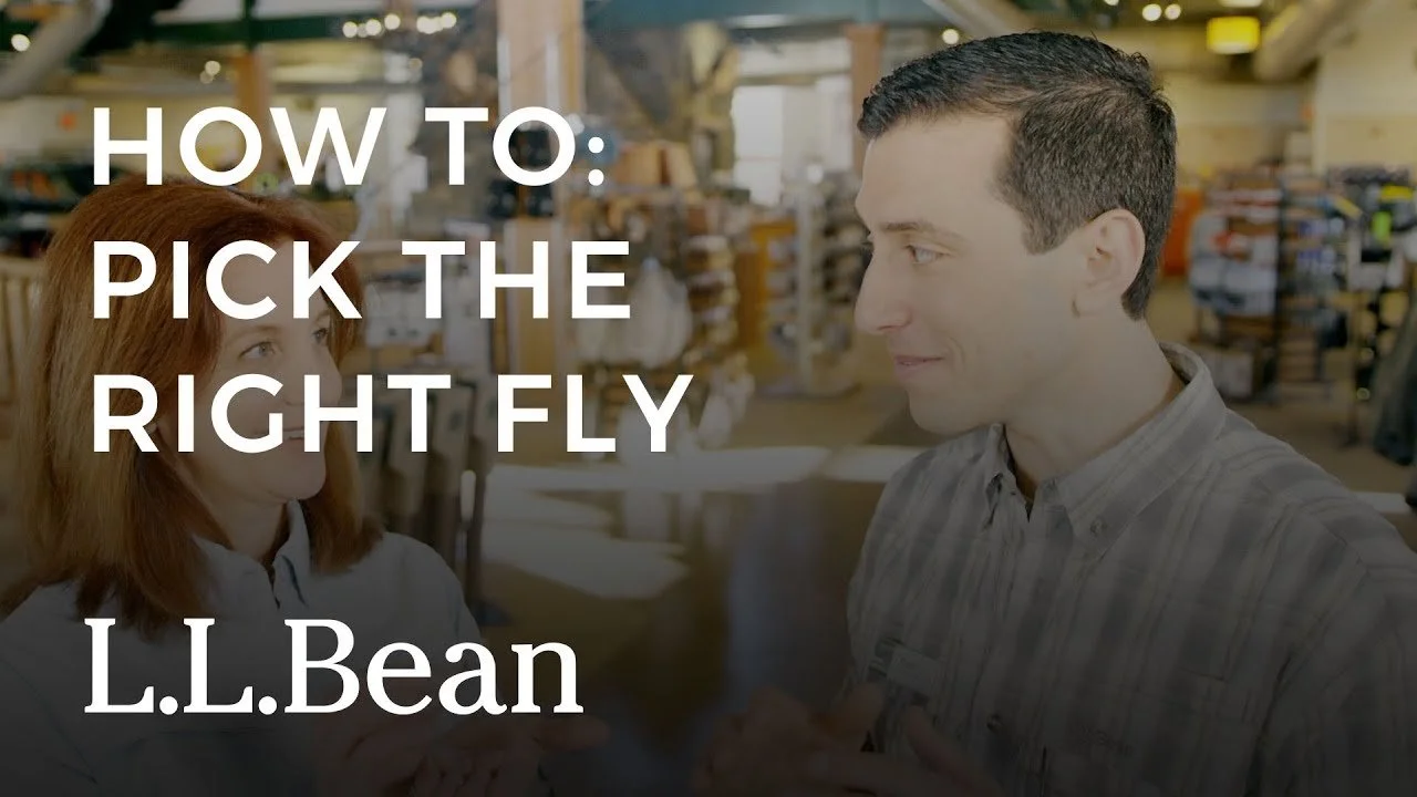 How to Pick the Right Fly | L.L.Bean