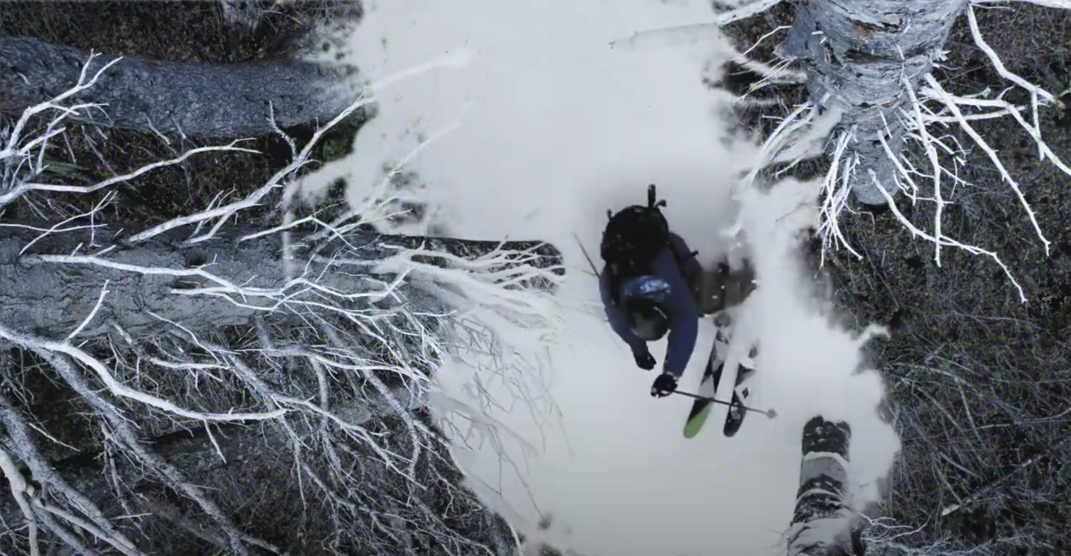 All.I.Can | Sherpas Cinema