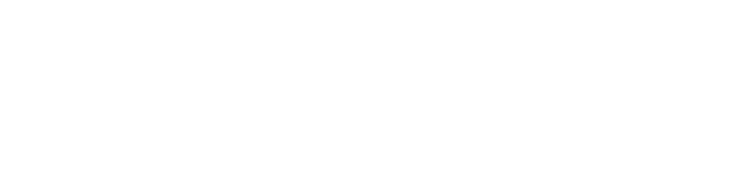 Williams Home Repairs