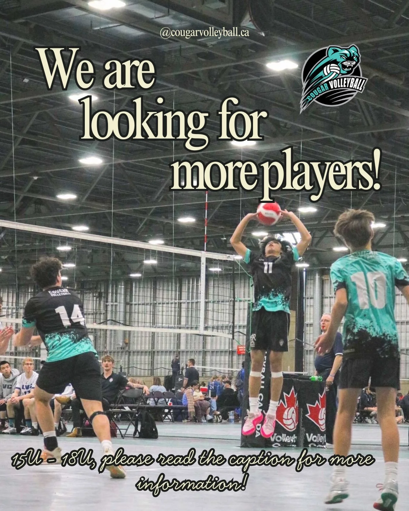 We are looking for players to join our fall development program! This is a program consists of lots of touches, court time, and space to grow! We have spots for our competitive club players, as well as a few for our House League players. Sign up whil