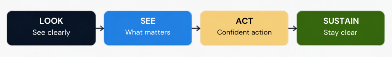 Fresh Eyes Flowchart - Look, See, Act, Sustain