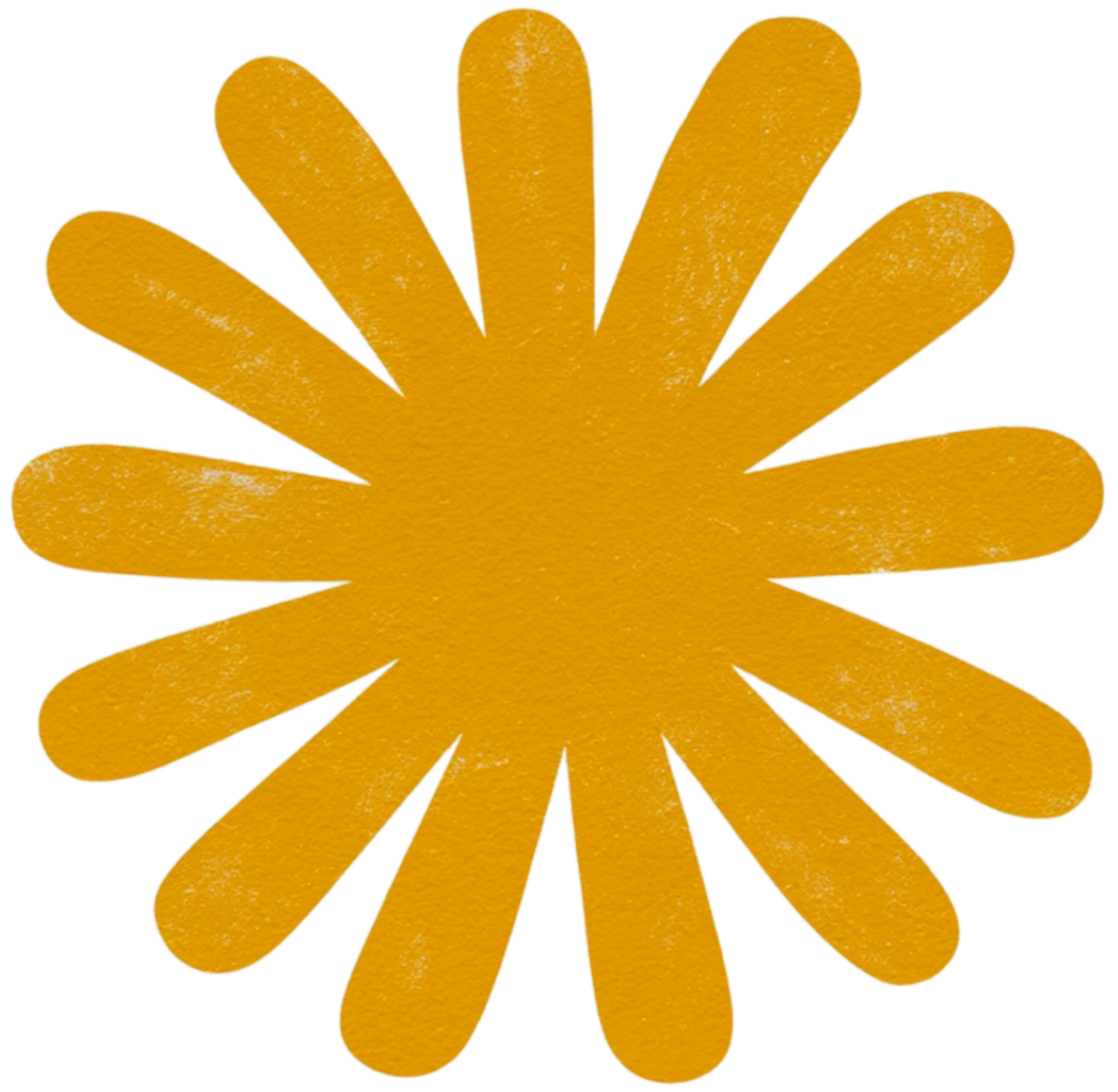 Illustration of an orange flower with curved petals radiating out from a center.