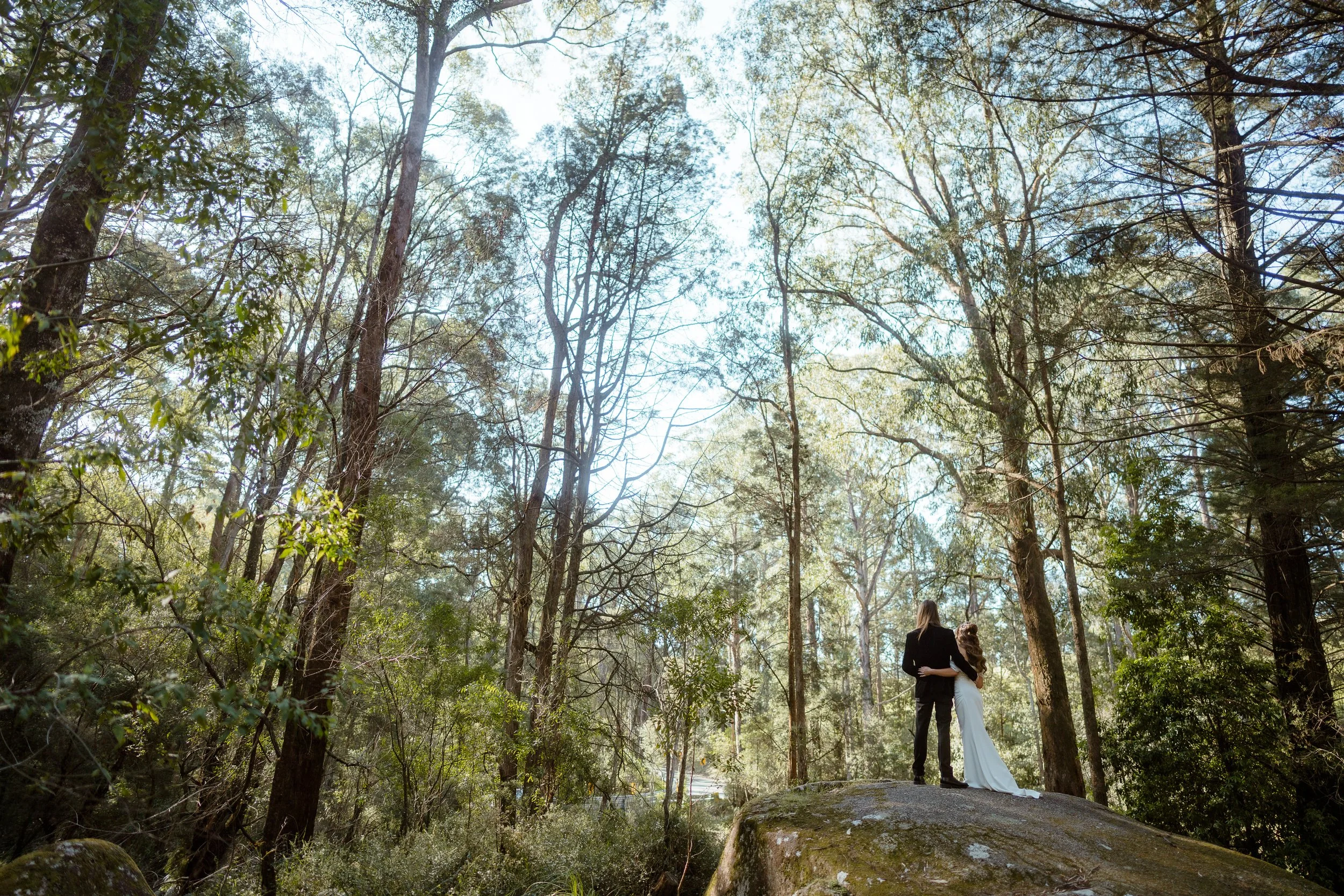 A couple dressed in wedding attire standing close together in a wooded outdoor setting with tall trees and sunlight filtering through the branches.