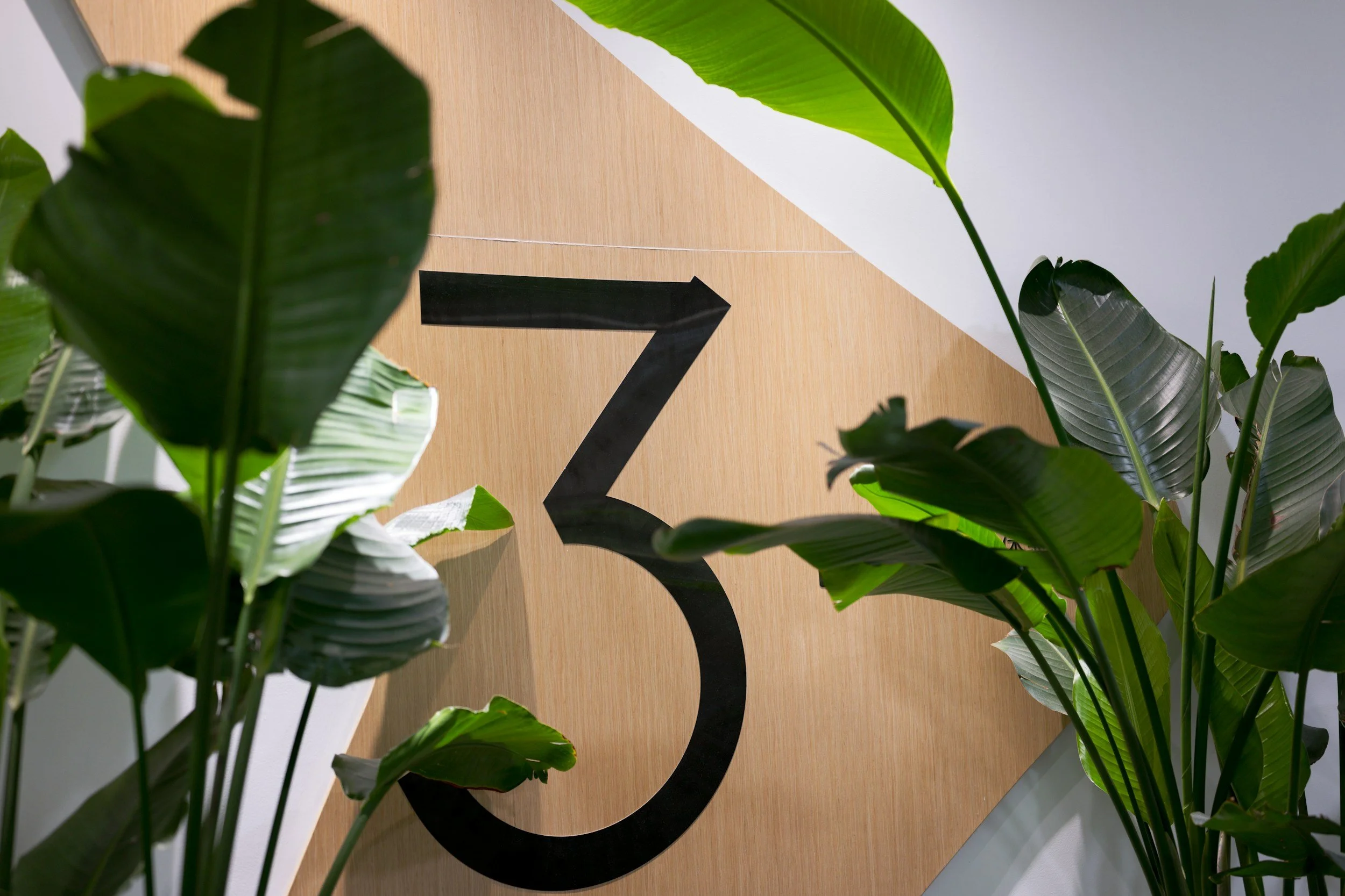 Close-up of green tropical leaves surrounding a light wooden wall with a black number 7 on it.