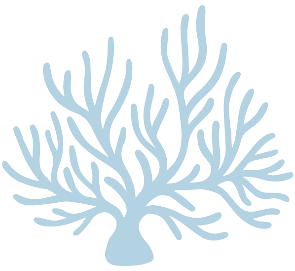 Illustration of blue coral with spindly arms