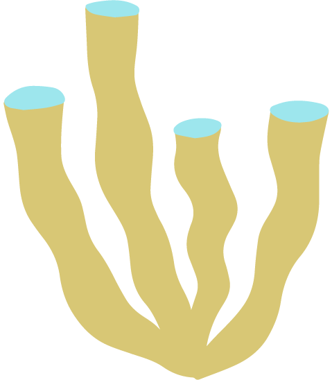Illustration of green seaweed with blue tops
