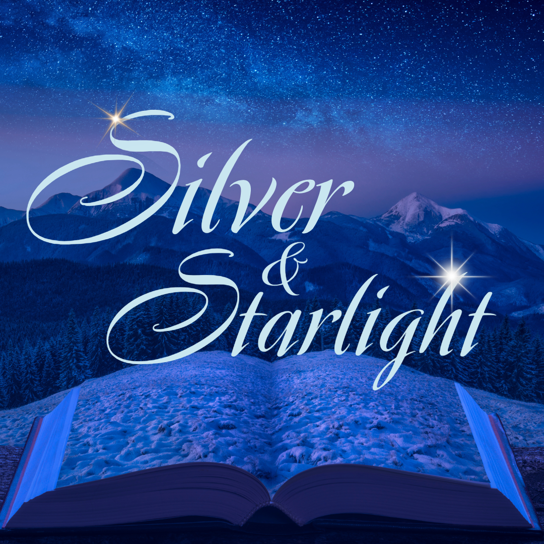 Silver and Starlight - A Portrait Experience at Wildfire Bookshop