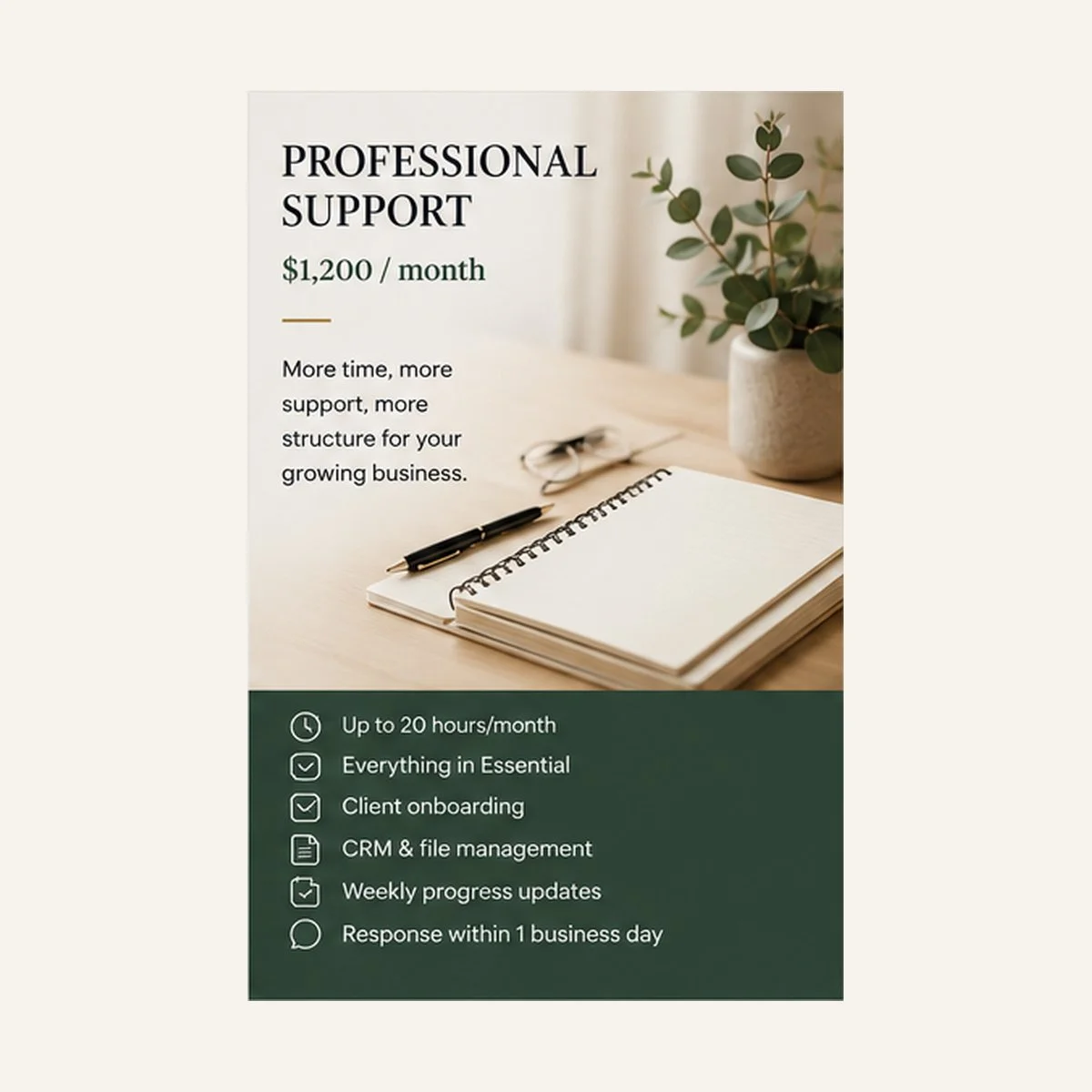 Professional Support