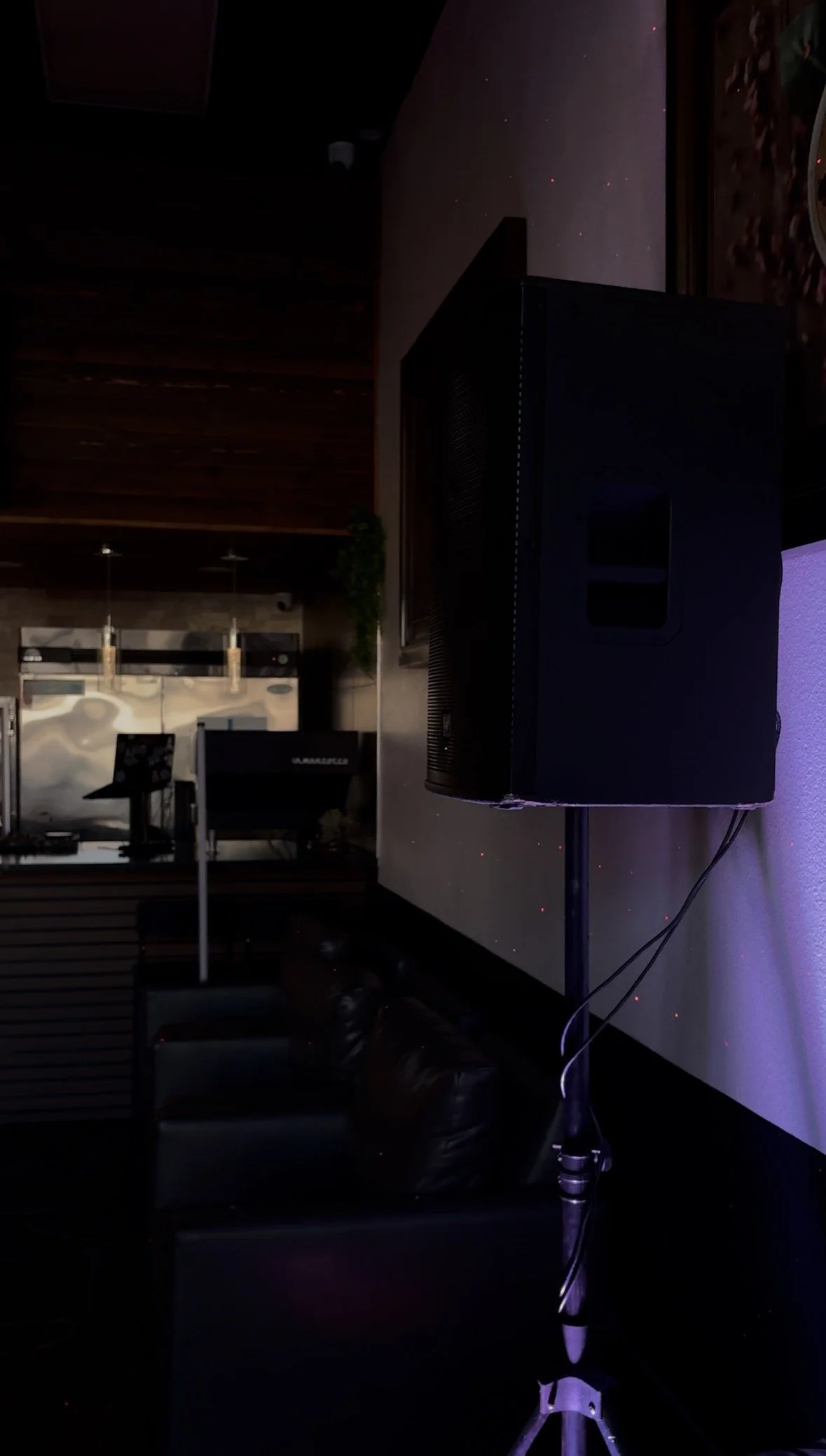 A speaker on a stand with wires hanging down, illuminated by small red and purple lights, with a background of dark interior and a wall with a colorful pattern.