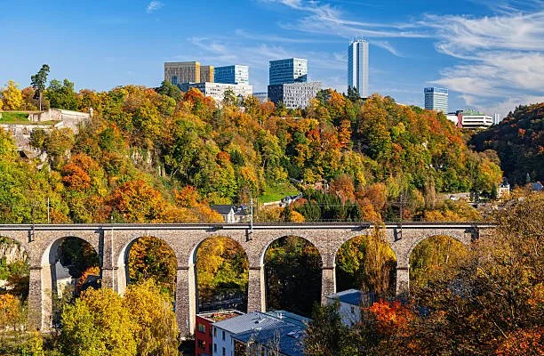 Cityscape with a tree-covered hillside displaying fall colors, a bridge with arches, and tall modern buildings in the background under a partly cloudy sky.
