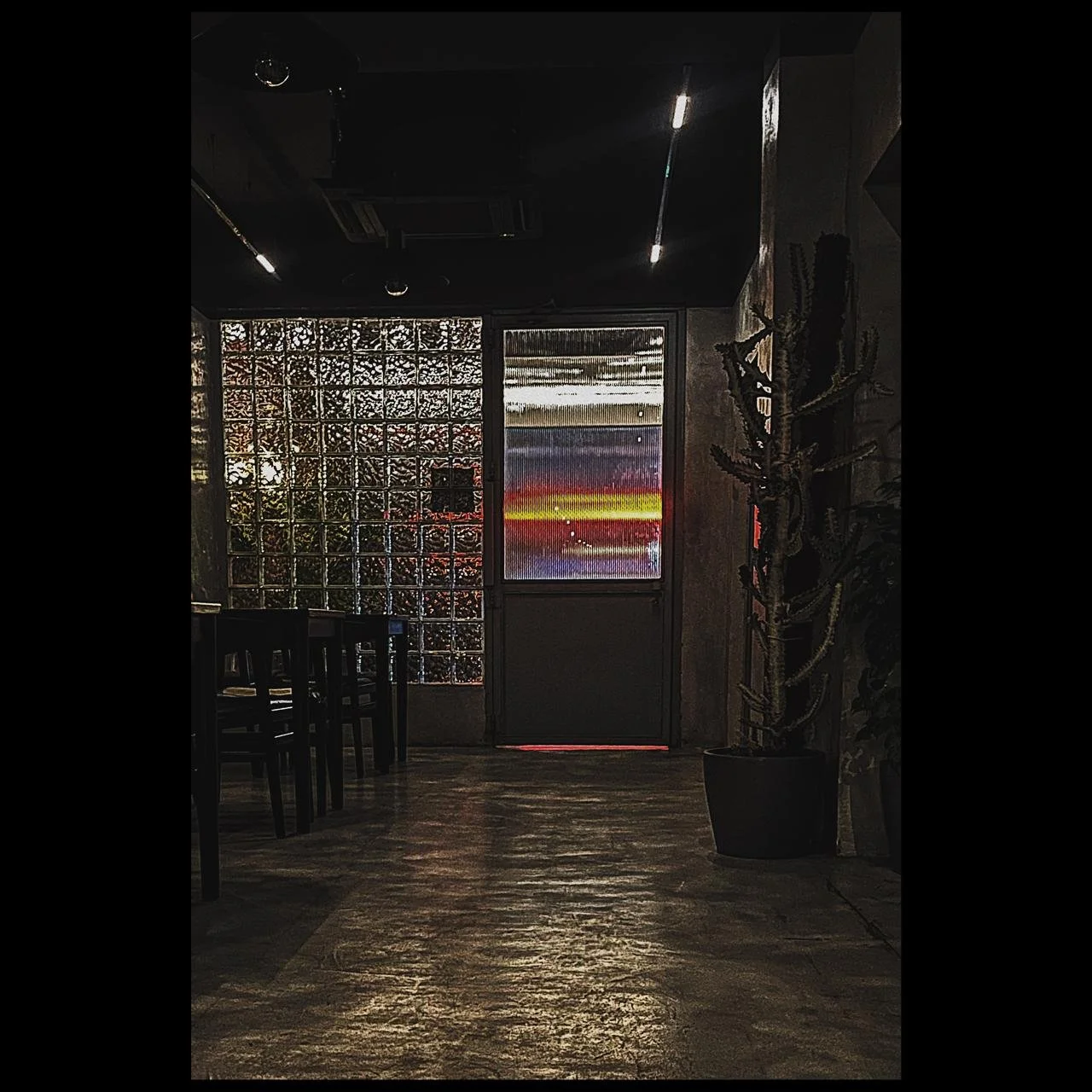 Interior of a dimly lit room with black walls, wooden floor, and a large potted cactus on the right side. There are chairs and tables on the left, a glass block wall on the far left, and a door with colorful, neon-like light patterns in the center.