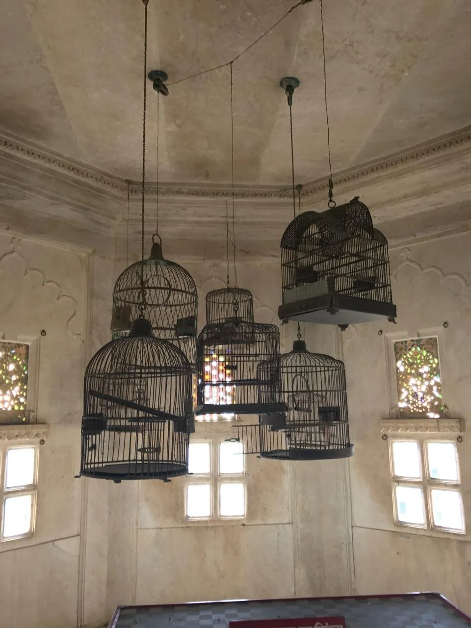 Multiple empty birdcages hanging from a vintage ceiling in an old room with decorative windows.