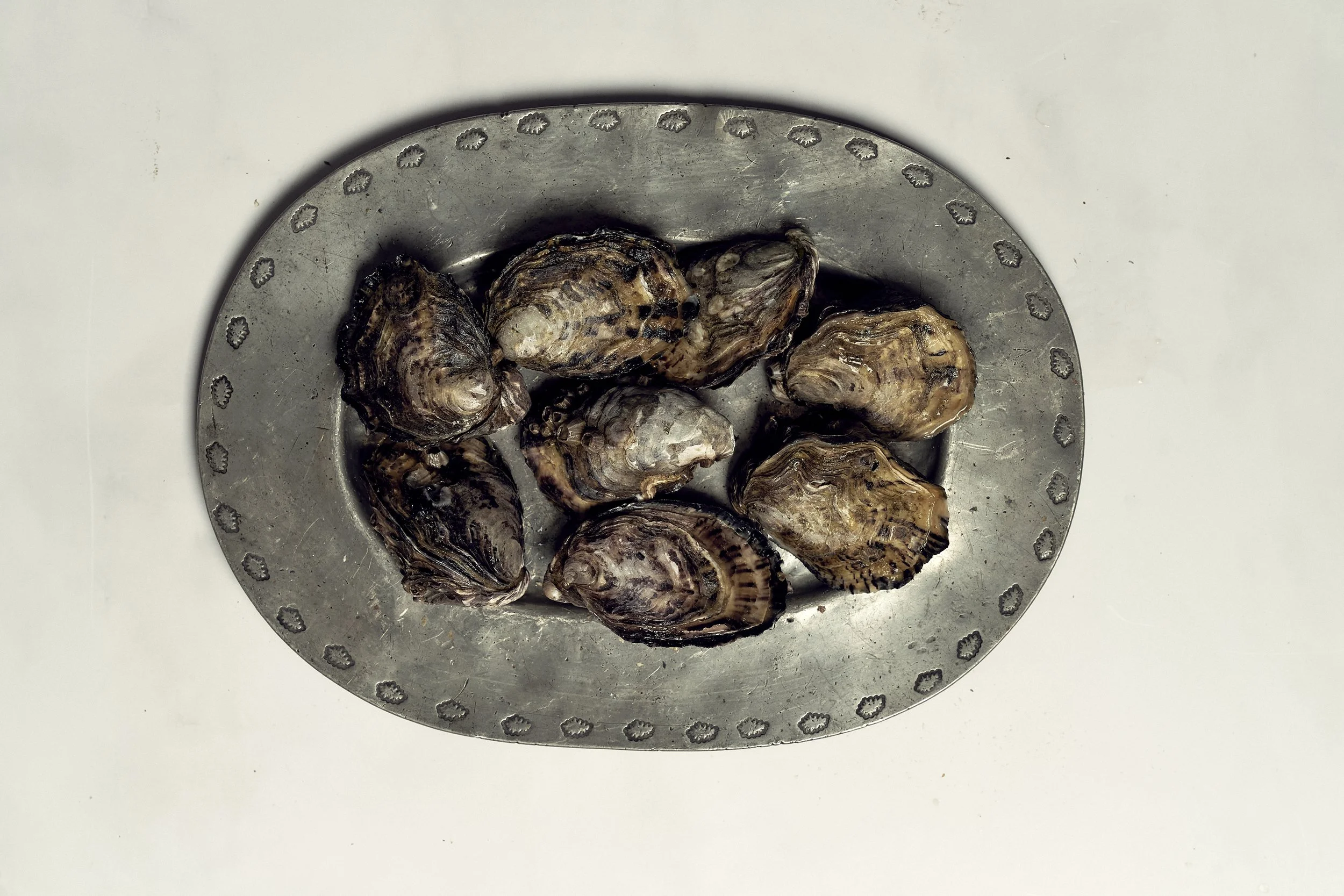 Sydney Rock Oysters
