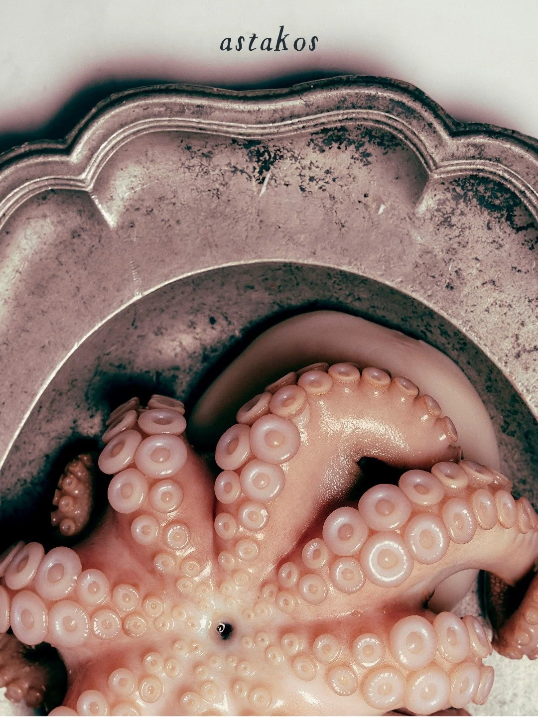 Education Is Key. What if your seafood supplier did more than deliver fish?

What if they introduced you to the fisherman who caught it...
The chef cooking it...And the species that deserves a place on your next menu?

We're building something design