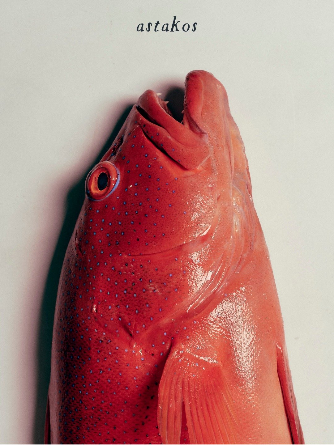 Something New Is Coming.

We've quietly built relationships with chefs, fishermen and producers across Australia. Now it's time to share those stories.

A new home for premium seafood.
A new way of thinking.
A new chapter for Astakos.

Wholesale, rei