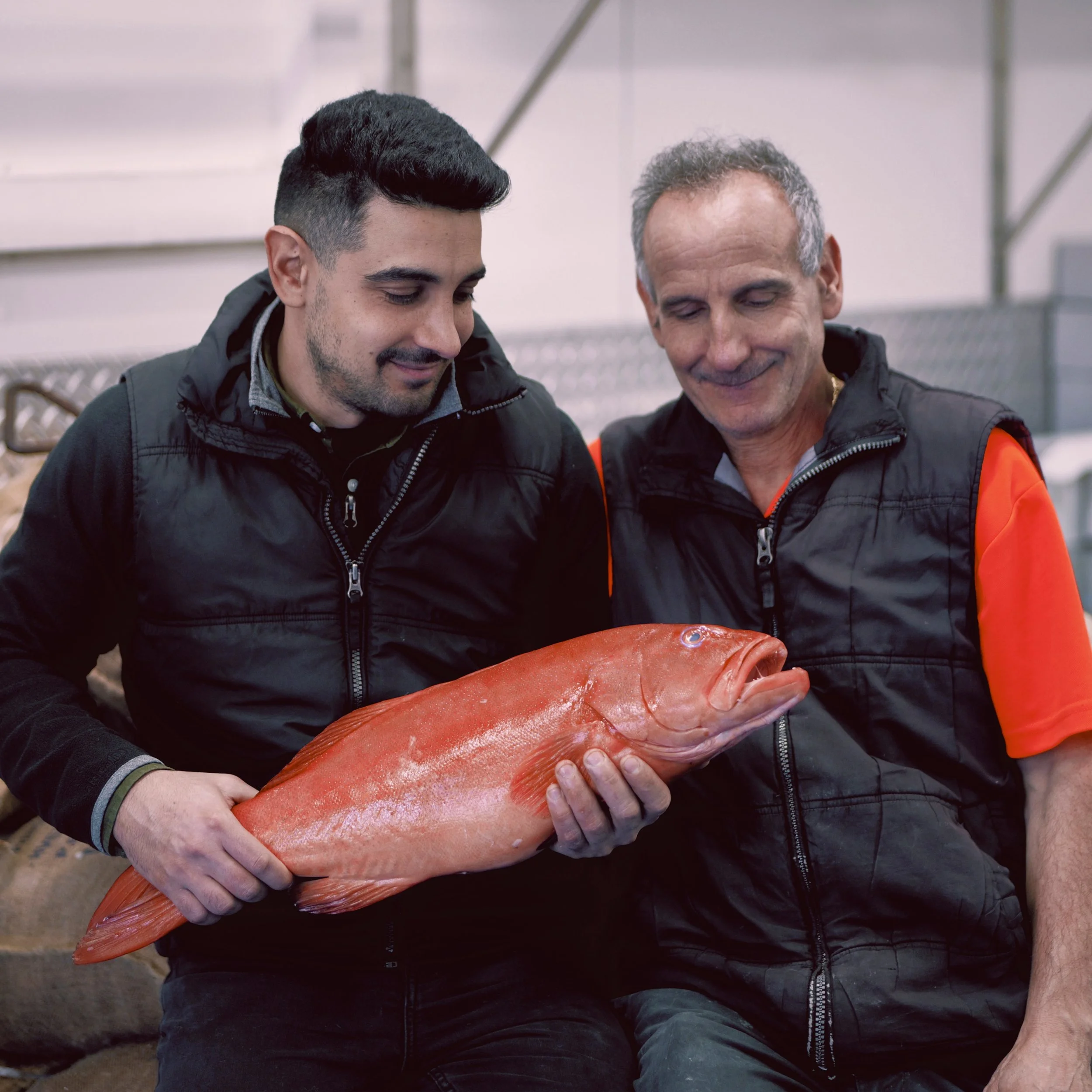 Happy Father&rsquo;s Day, Dad. 💙

The rock of the business, a true legend, and someone whose hard work has helped shape Astakos into what it is today.

And to all the dads across the @astakos.fish family, from our team to our catchers, chefs, suppli