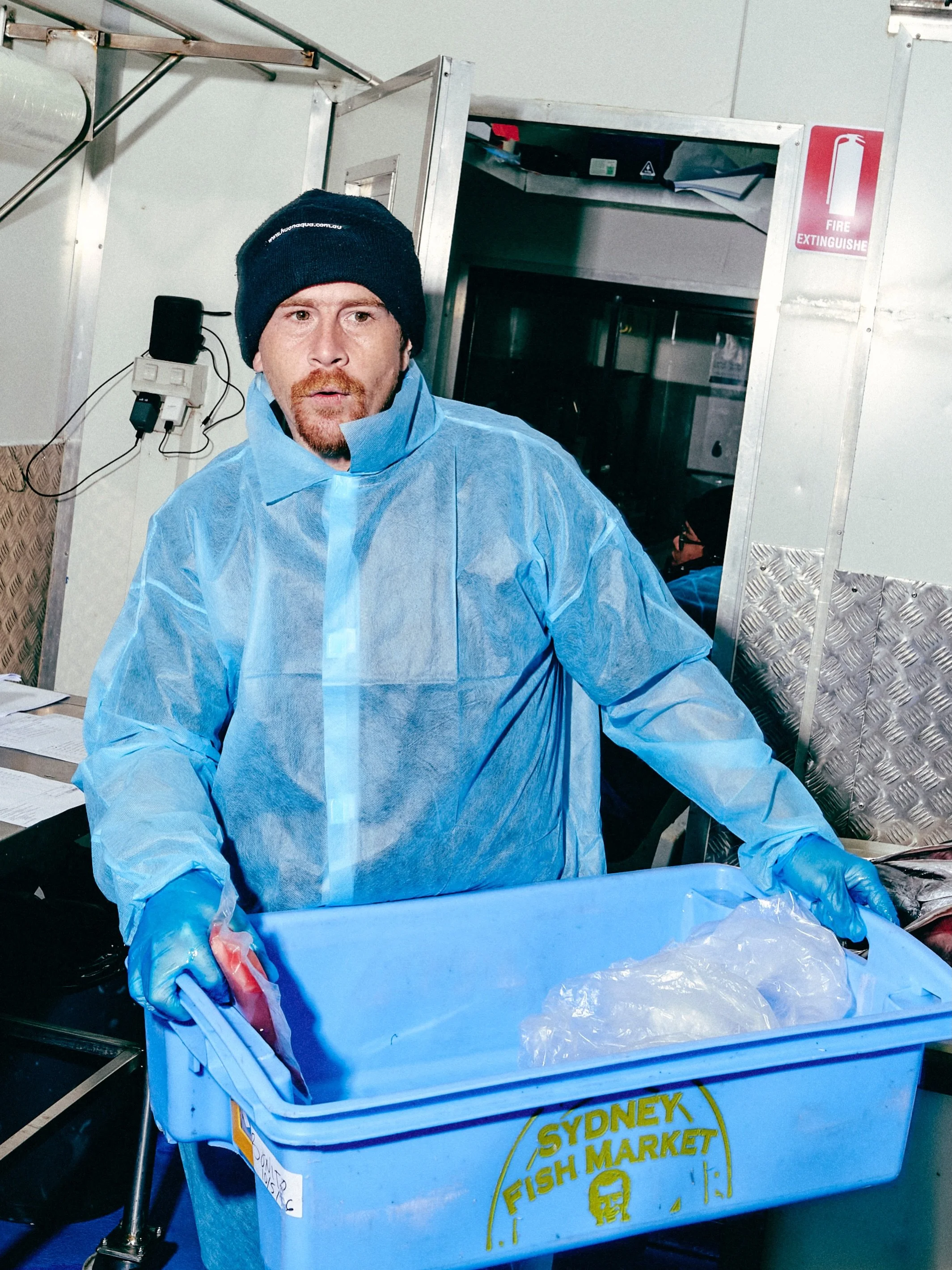 There&rsquo;s no slowing down at HQ. 🐟

Early starts, sharp knives, full benches and a team constantly striving for quality, precision and consistency.

This is the real side of seafood wholesale. No filters. No fluff. Just fish, hard work and a cre