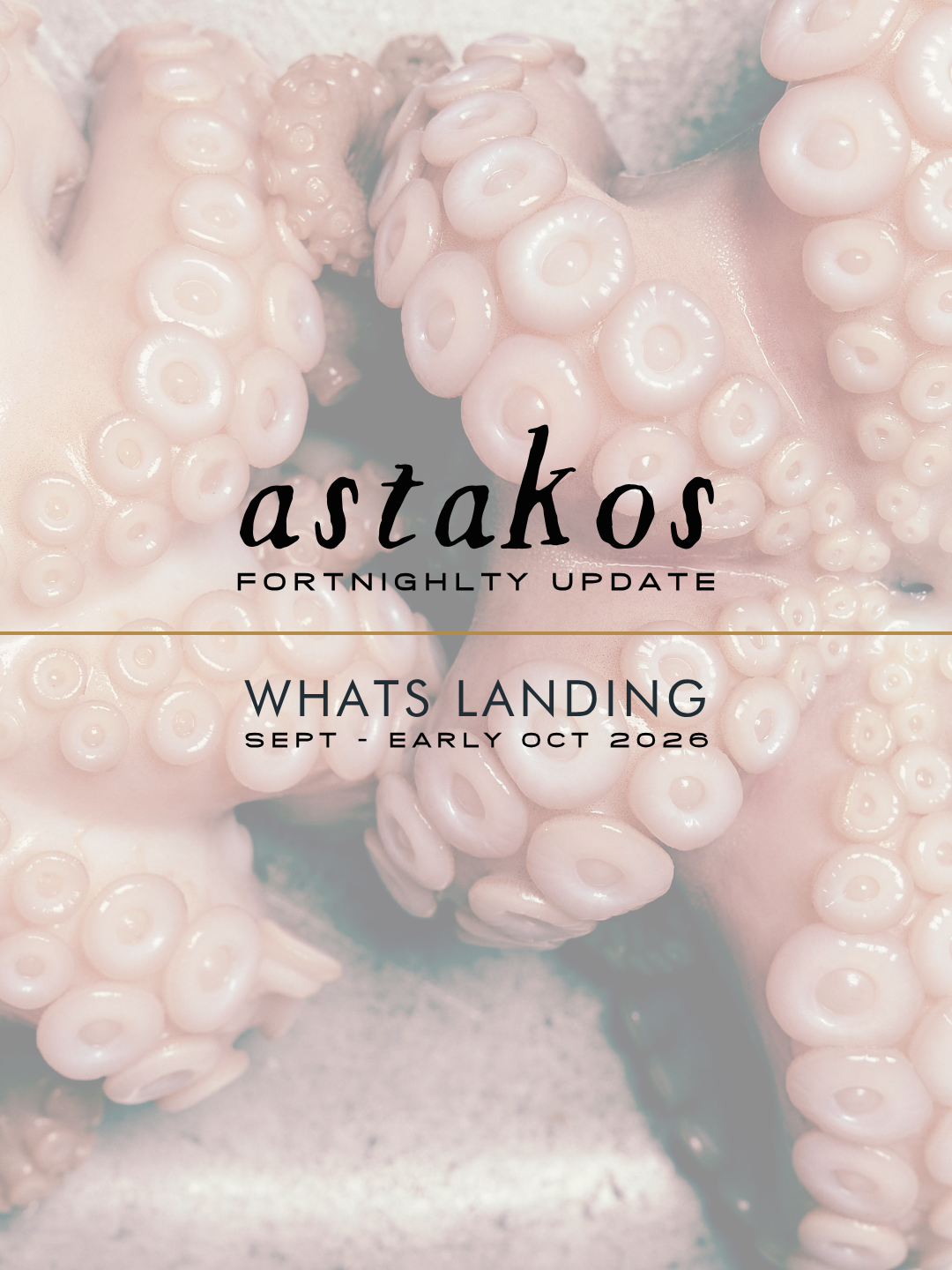WHAT’S LANDING IN SPRING 2026 