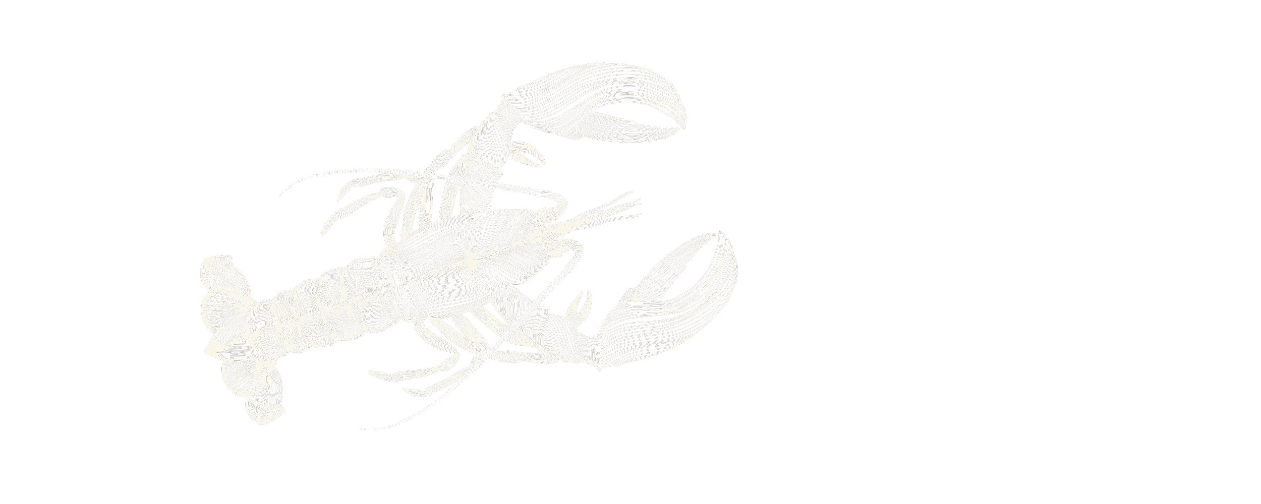 Digital illustration of a lobster and shrimp, depicted with white lines on a black background.