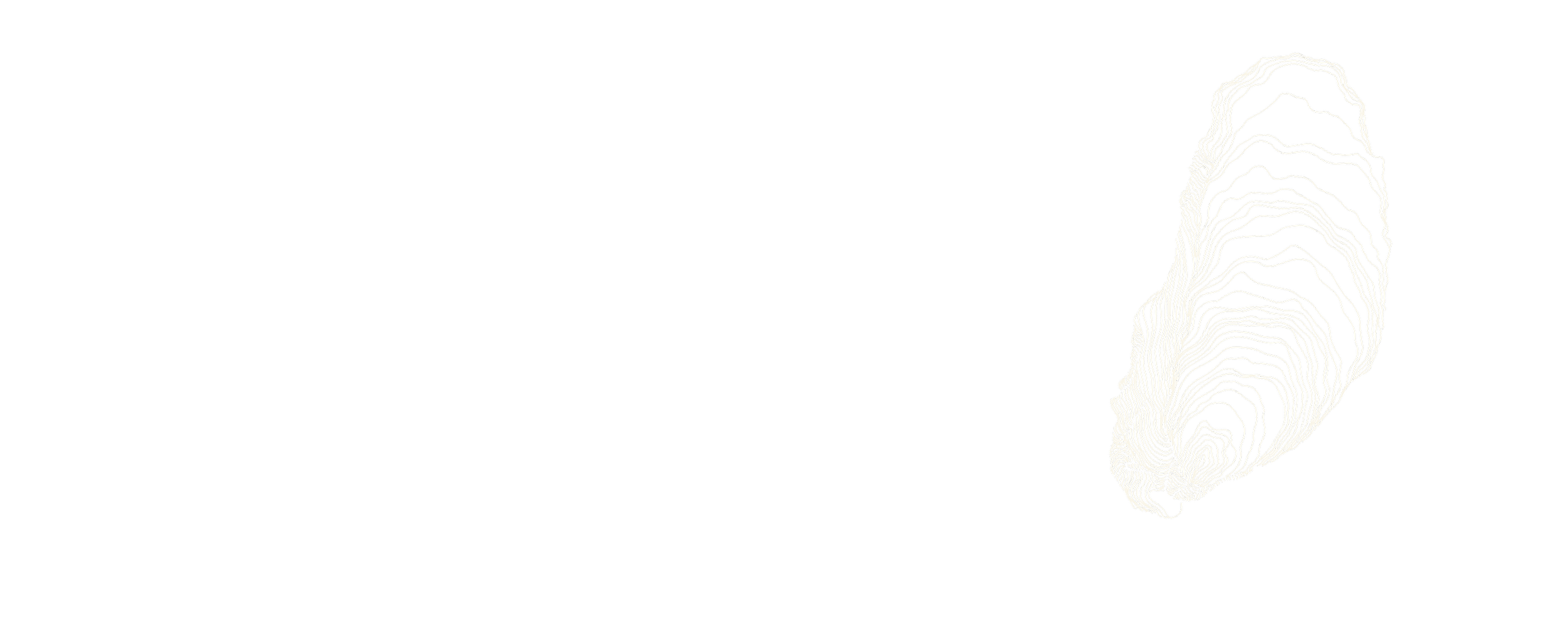 Abstract white contour lines on black background forming a three-dimensional shape.