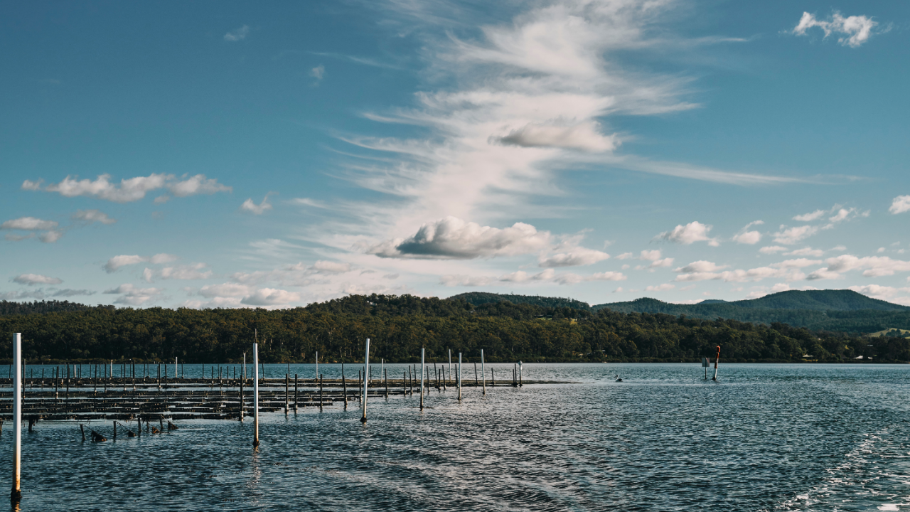 restaurant-chef-merimbula-oysters.AstakosWholesale seafood Sydneyjpg3.png