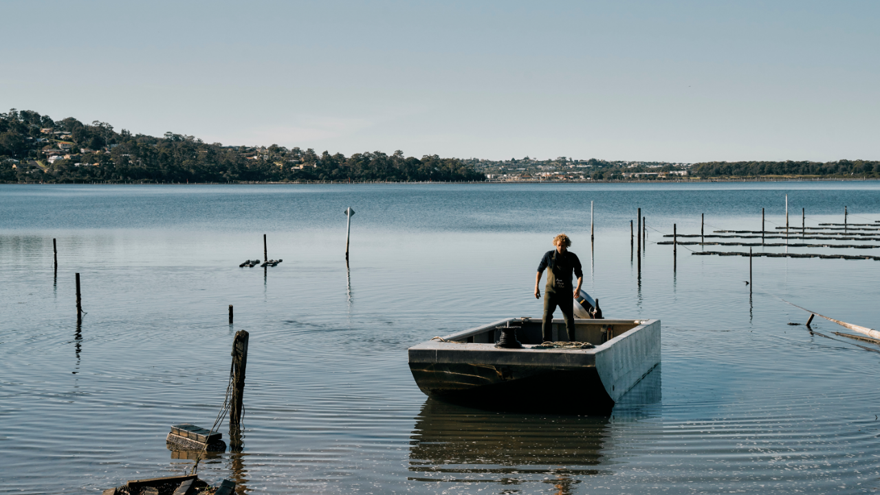 restaurant-chef-merimbula-oysters.AstakosWholesale seafood Sydneyjpg1.png