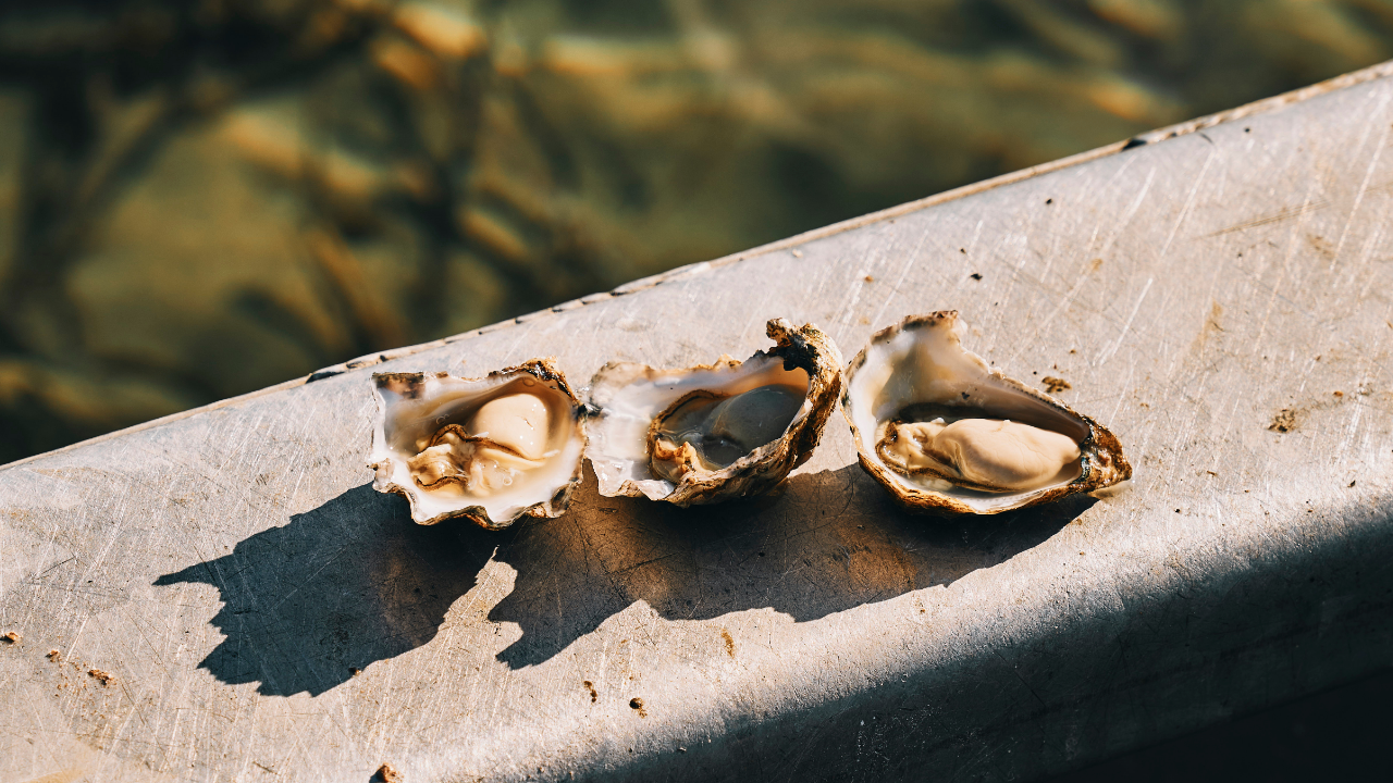 restaurant-chef-merimbula-oysters.AstakosWholesale seafood Sydneyjpg6.png