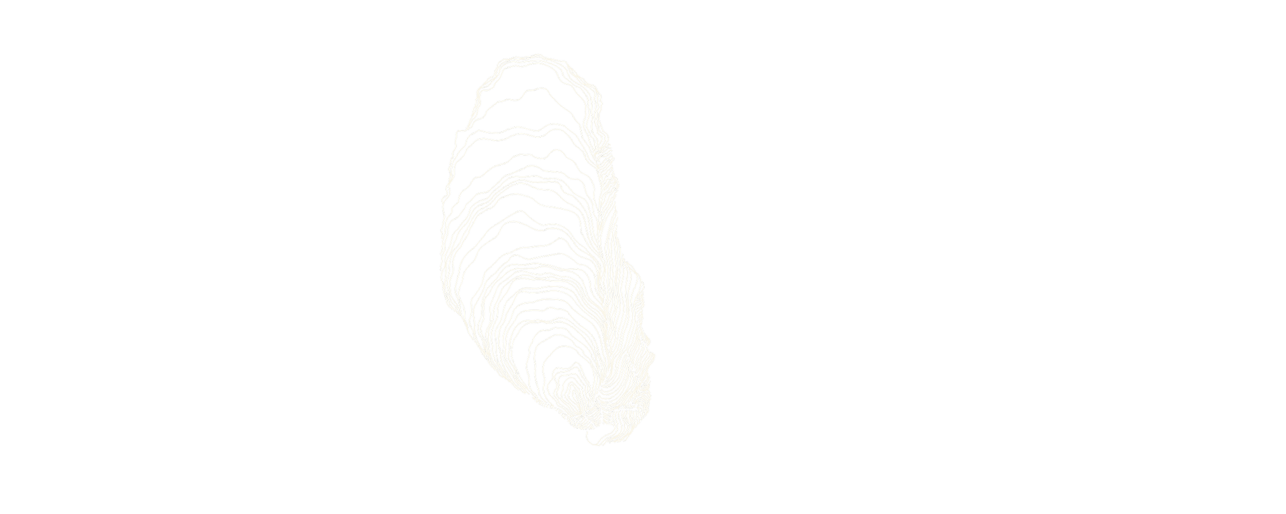 White contour lines creating an abstract, feather-like shape on a black background.